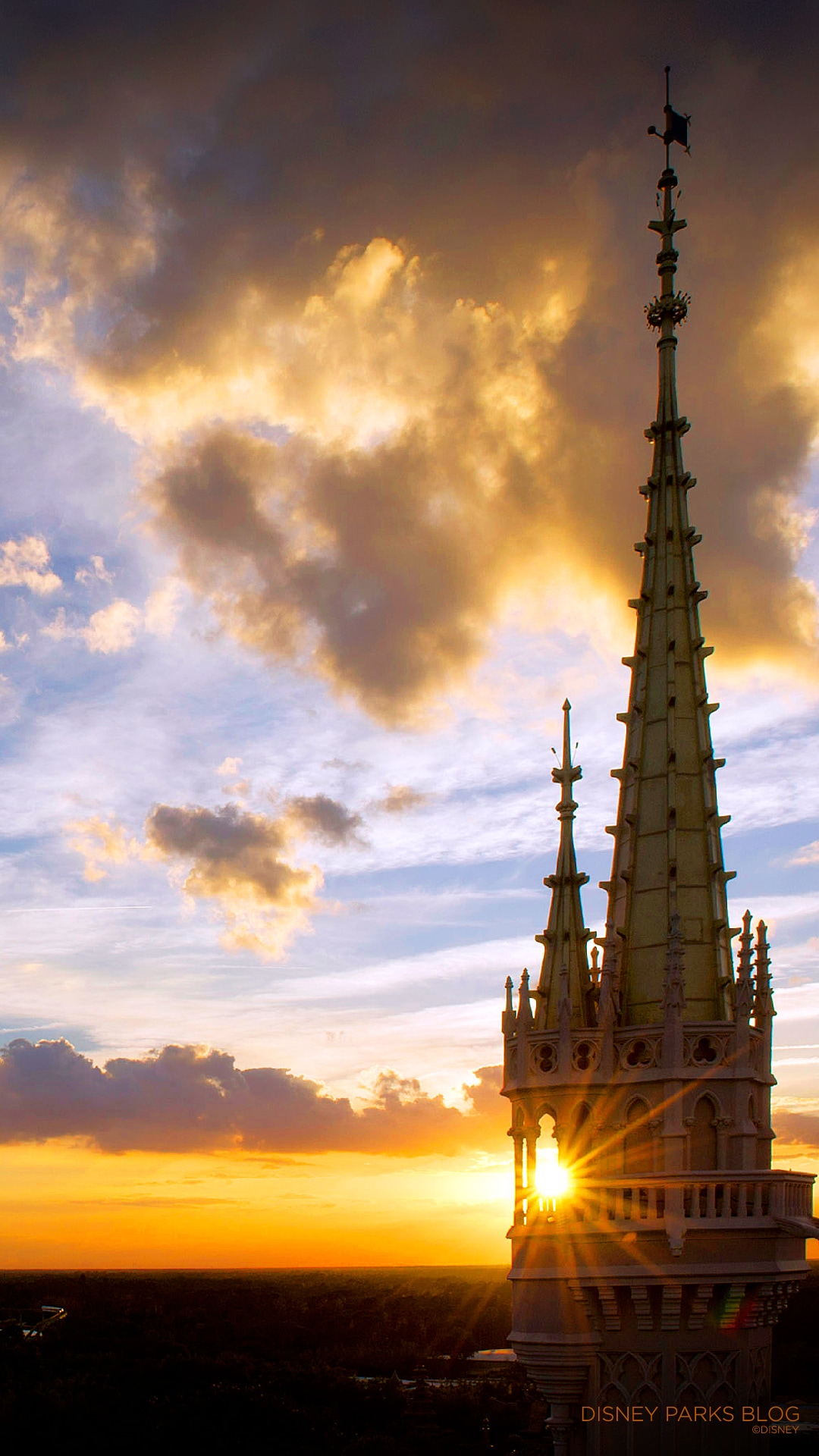 1080x1920  Премиум Фото | Обои для iPhone и Android. лучшие обои для iPhone высокого разрешения для iPhone и Android. обои слона, обои слона, обои фоны, обои для iphone, iphone