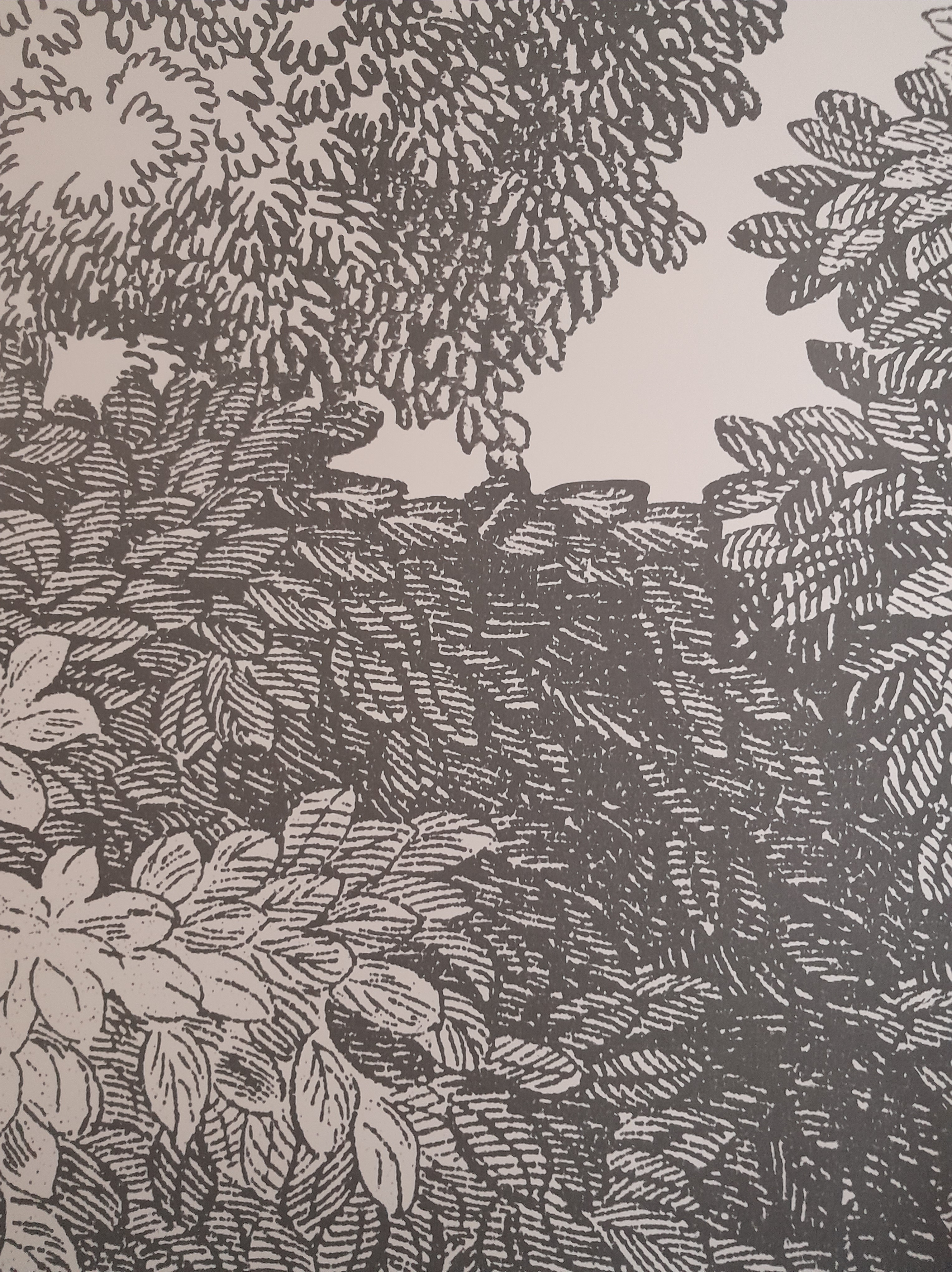 Hilf live обои на телефон