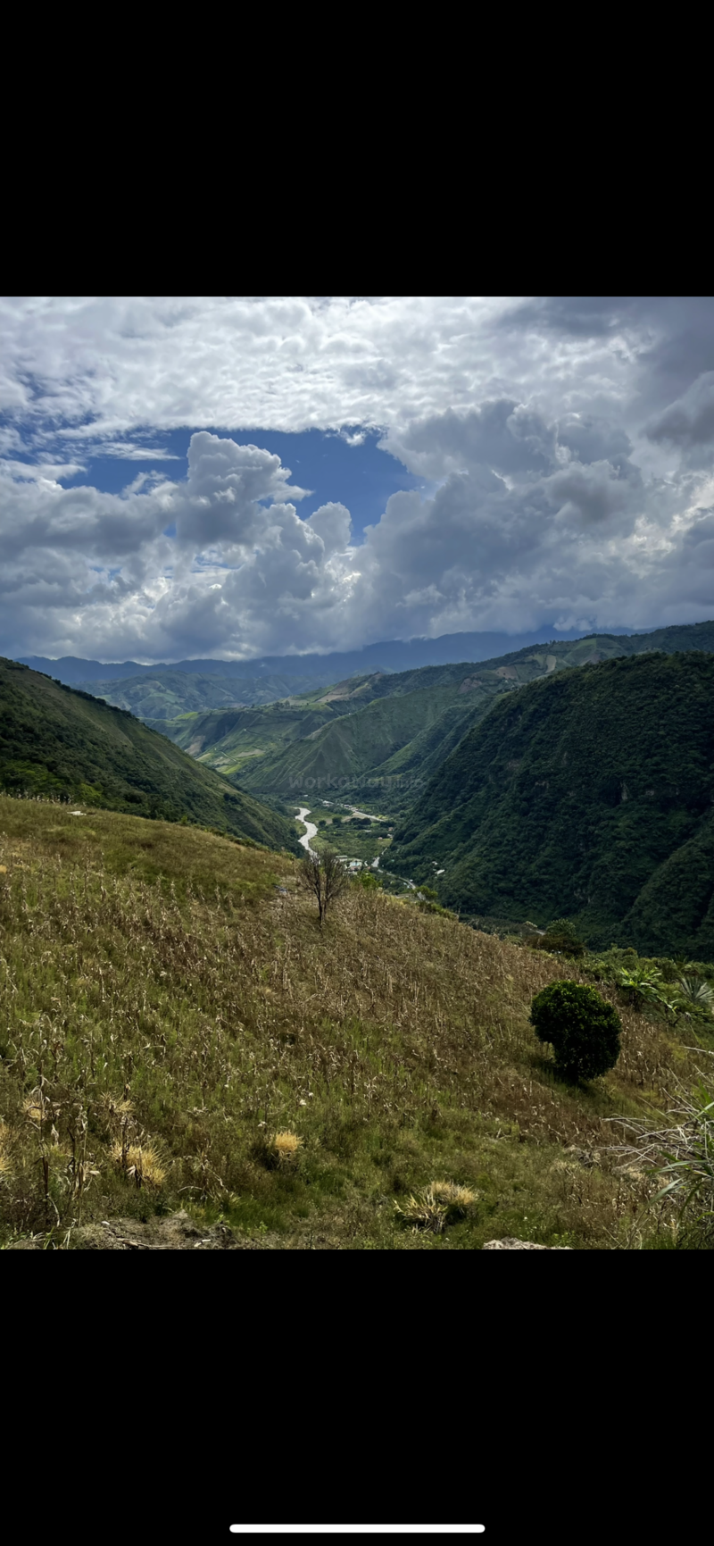 800x1731  Строительство, садоводство, помощь в социальных сетях, декоративно-прикладное искусство в скромном гостевом доме в окружении природы, Имбабурра, Эквадор