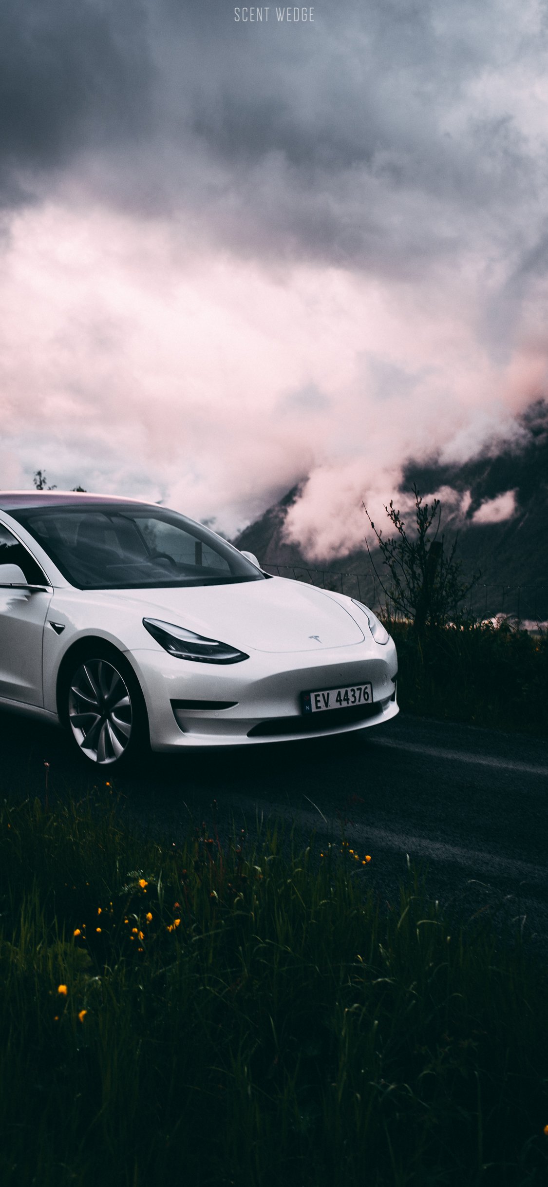 1125x2436   Обои Model 3 - ScentWedge