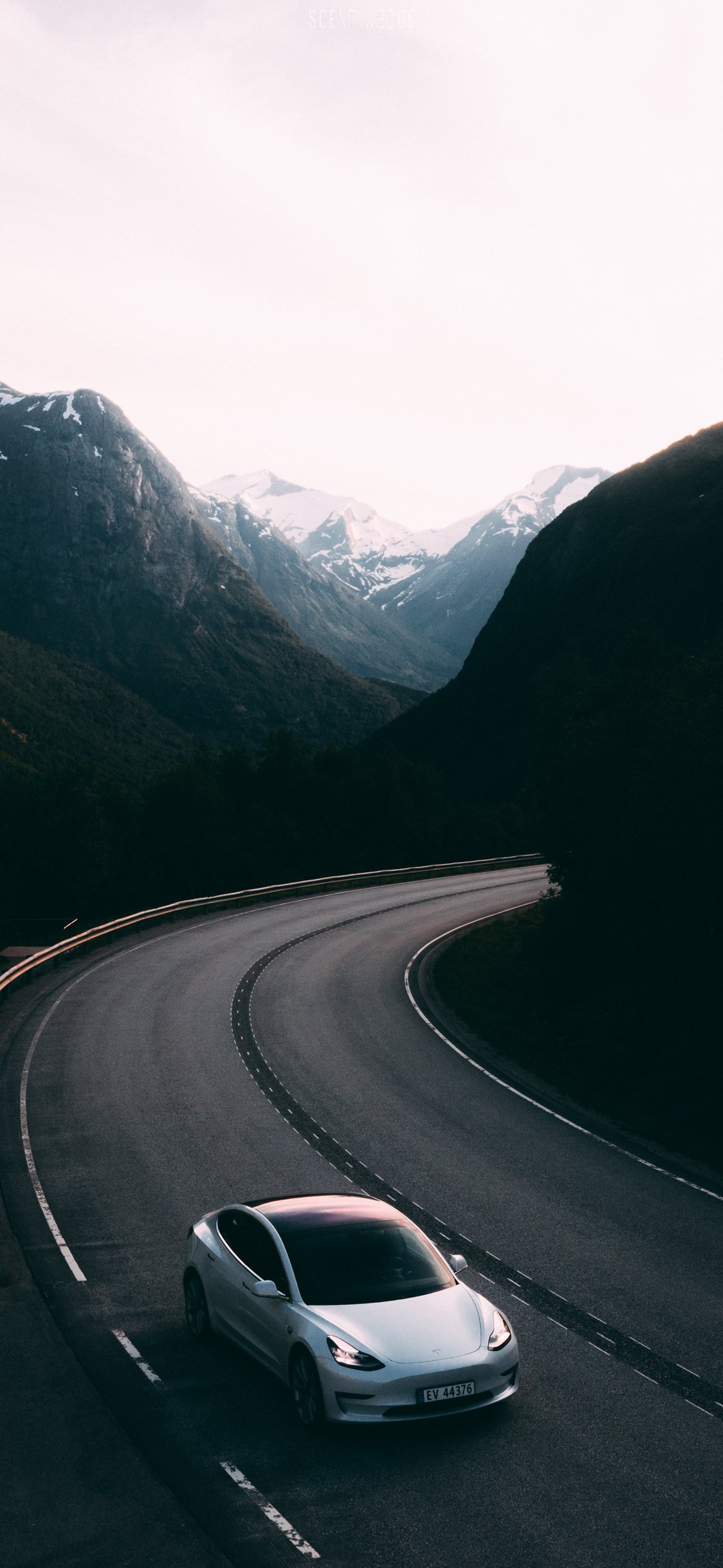 1124x2436   Обои Модель 3 - ScentWedge