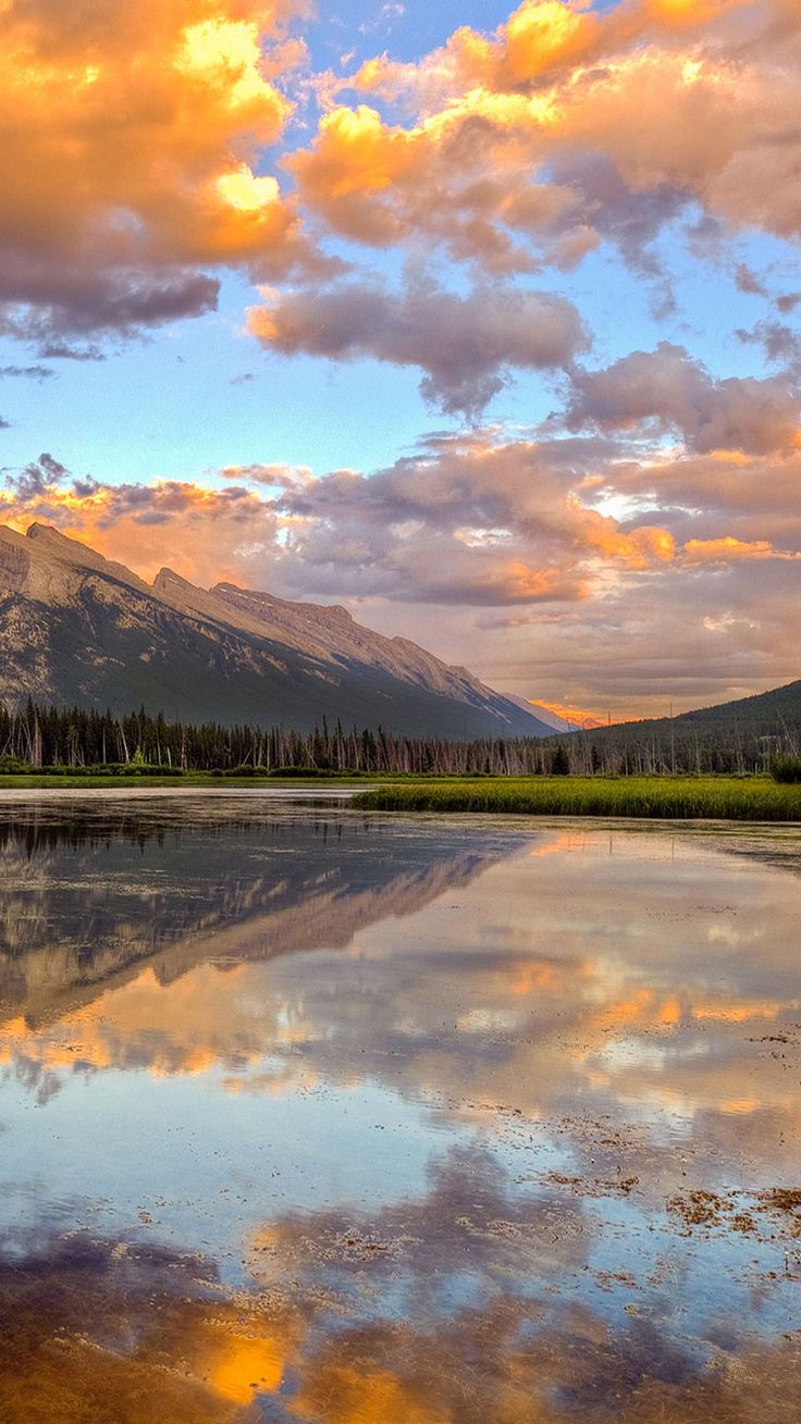 736x1309  40 милых летних обоев для iPhone (скачать бесплатно в HD) | Лучшие места для путешествий, Бора-Бора, Милые летние обои