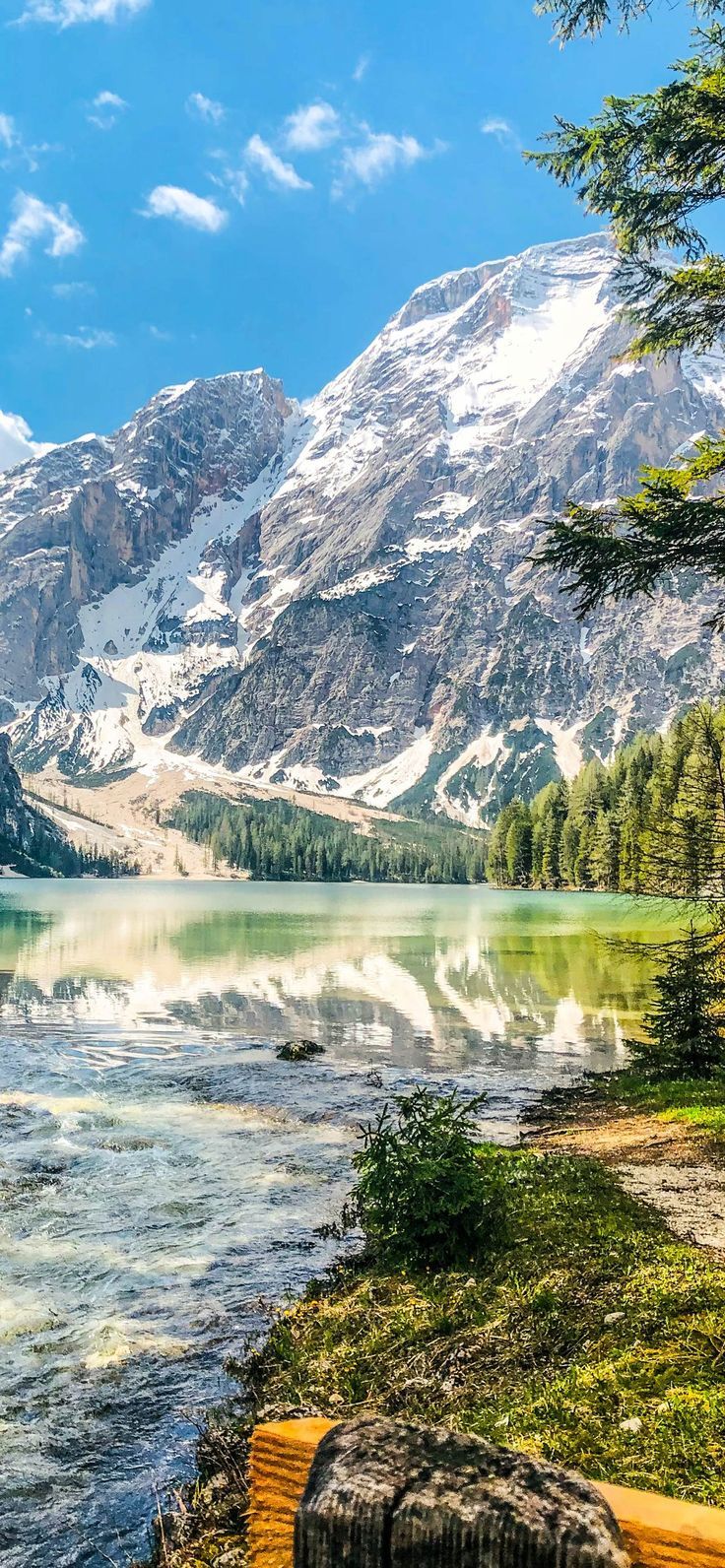 736x1592  40 HD-обоев хорошего настроения 1 APK для Android