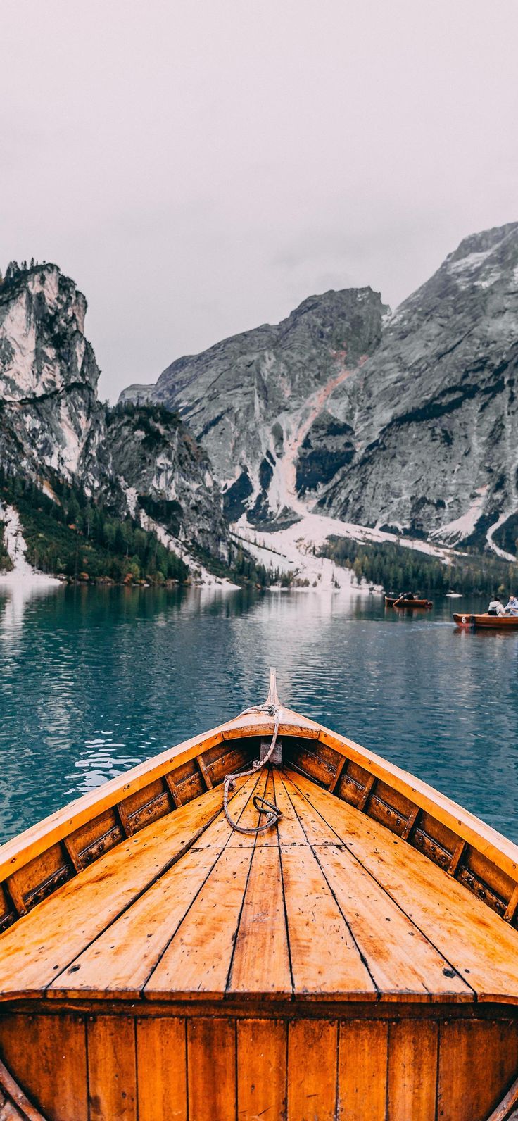 736x1592  Более 40 HD обоев и фонов «Бостон Брюинз» — rta.com.co