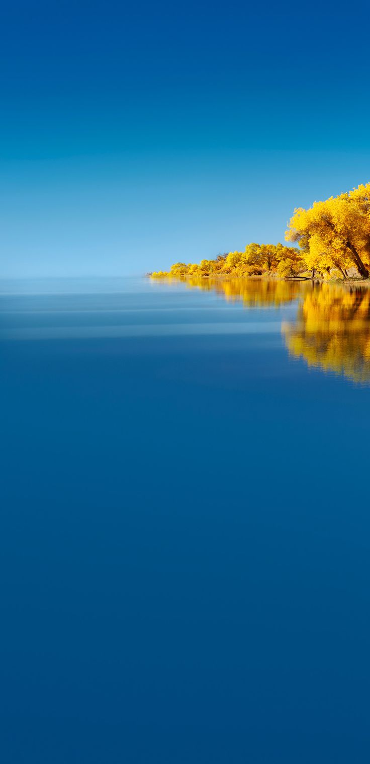 736x1518  Бумажная поделка синей формы находится на синем фоне с синей волной. Изображение обоев для бесплатного скачивания - Pngtree