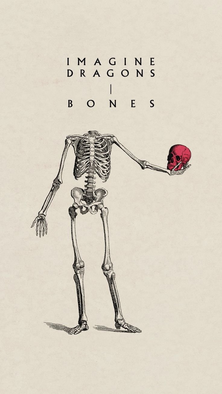 736x1308  чего бы это ни стоило // представьте себе драконов Скачать обои | МобКубок