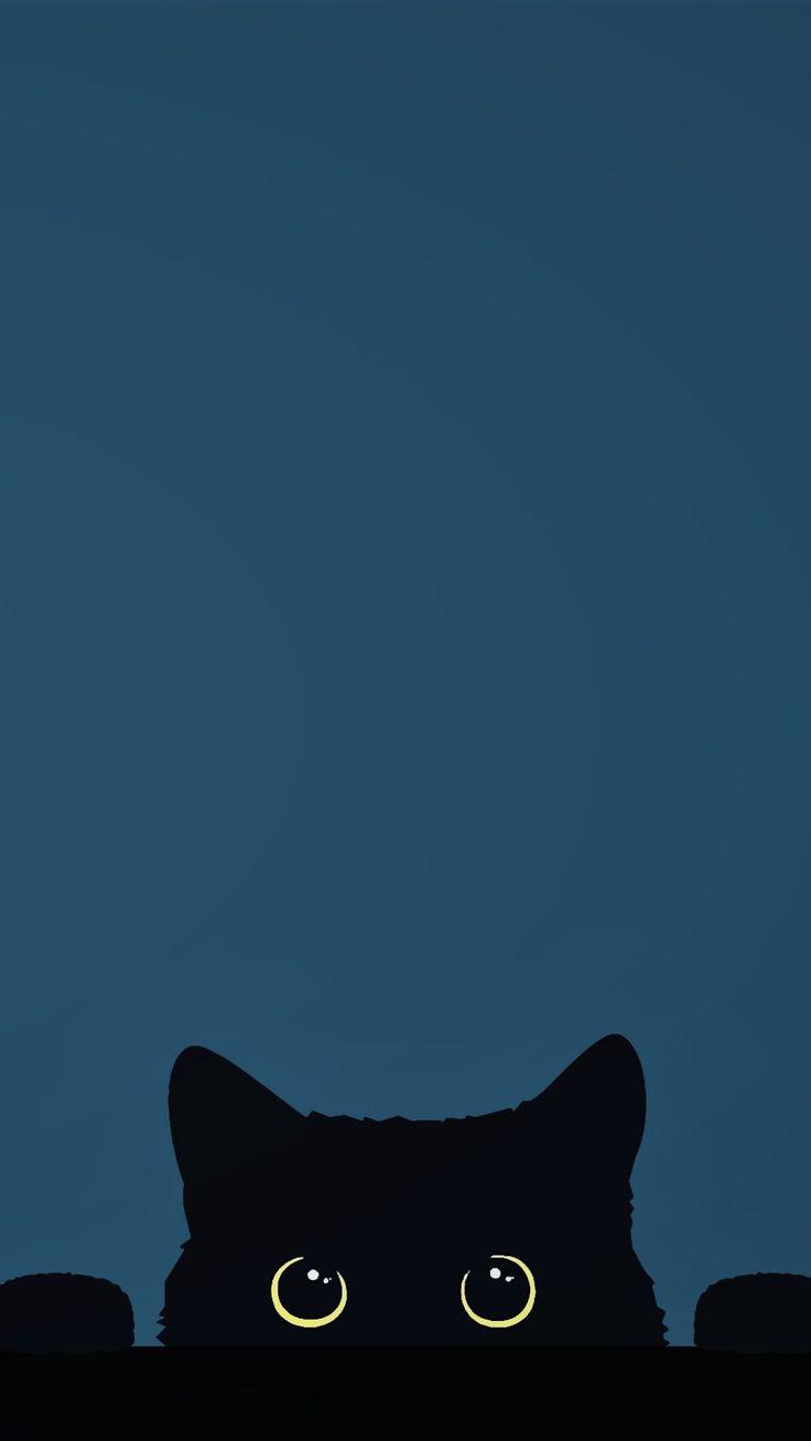 736x1308  Чёрный кот обои на телефон | Cute cartoon wallpapers, Cat phone wallpaper, Iphone  wallpaper cat