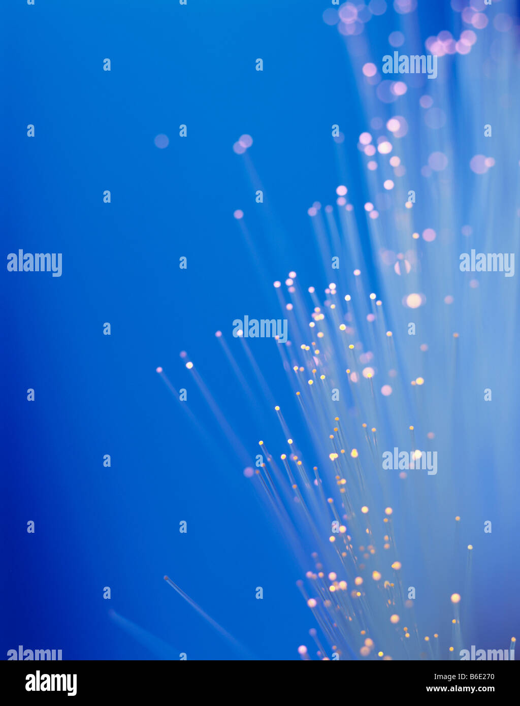 1024x1390  Стоковые фотографии и изображения Theform в высоком разрешении — Alamy