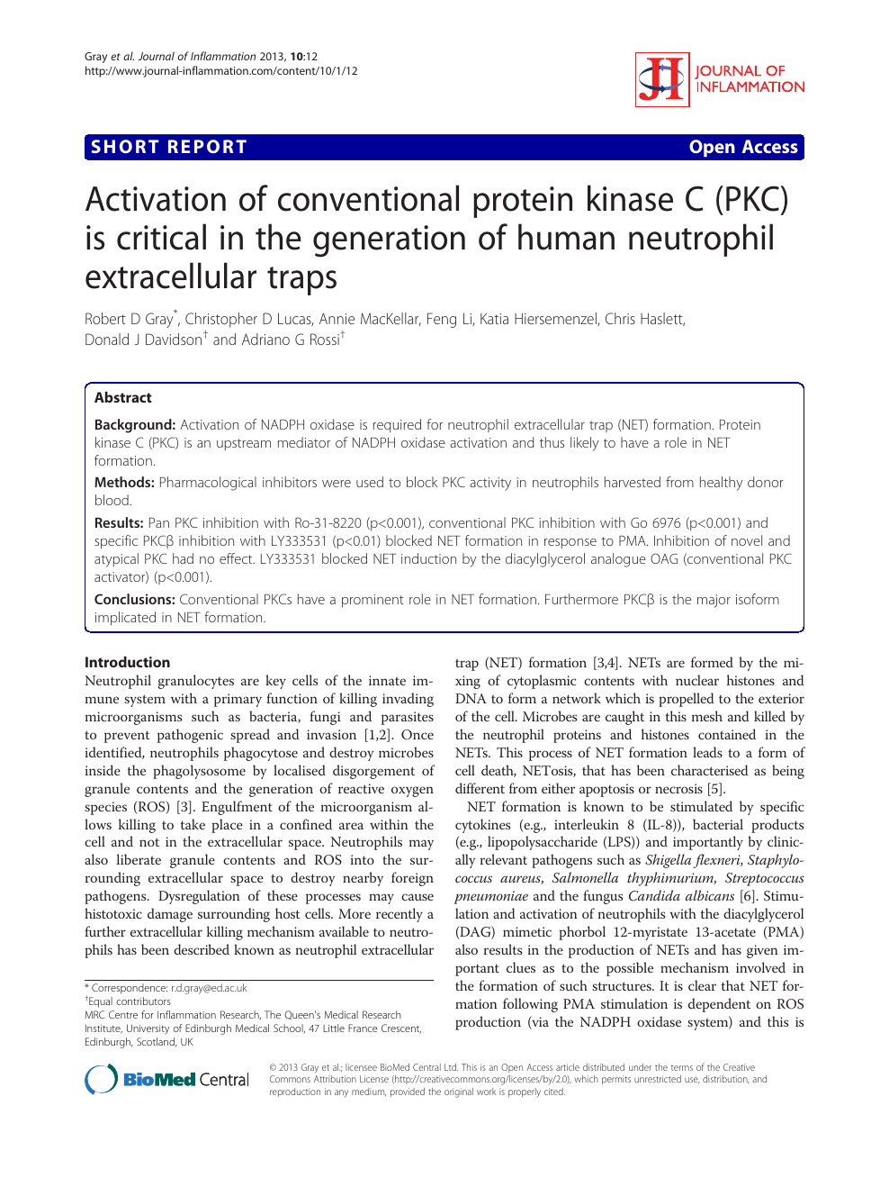 988x1318  Не говорите jei☠️☠️☠️#tmnt2012#splinter#theshredder#vs#jei#ninjaturtles#... | ТИК Так