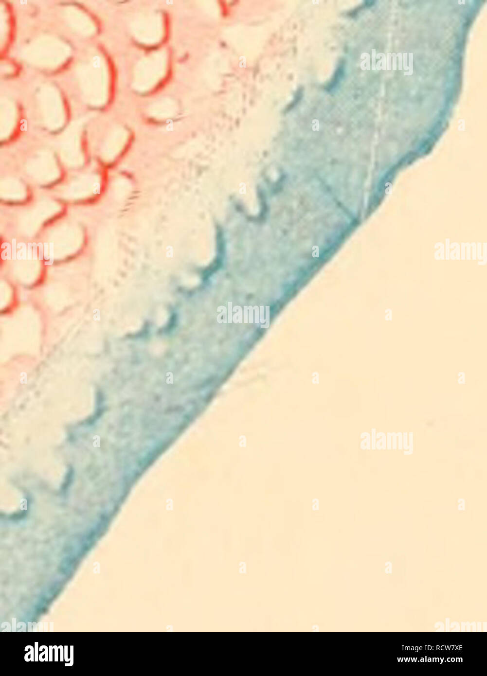 1001x1390  Отвечаю на @keir_du как рисовать кон рукой #art #drawing #howtodraw #ar... | ТИК Так