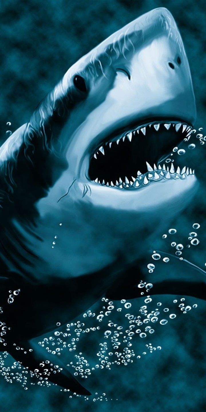 720x1440  Скачать 1440x2880 пляж челюсти, багамы, пирс, ночь, lg v30, lg g6 обои, картинки lg v30, lg g6, 1440x2880, 27279