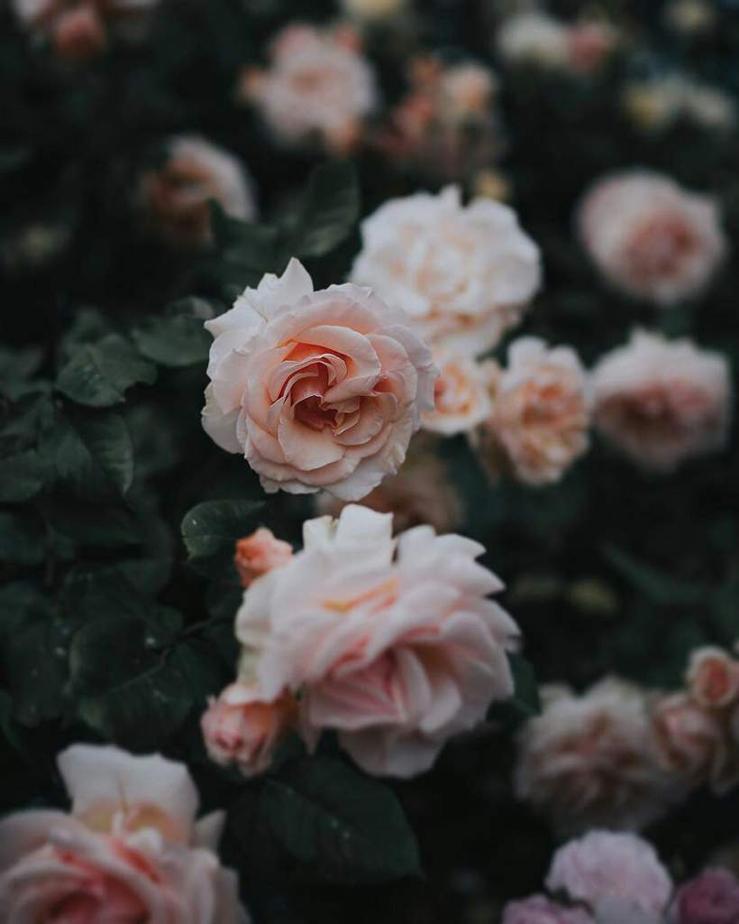 820x1024  200+] Dont Touch My Phone Wallpapers | Wallpapers.com