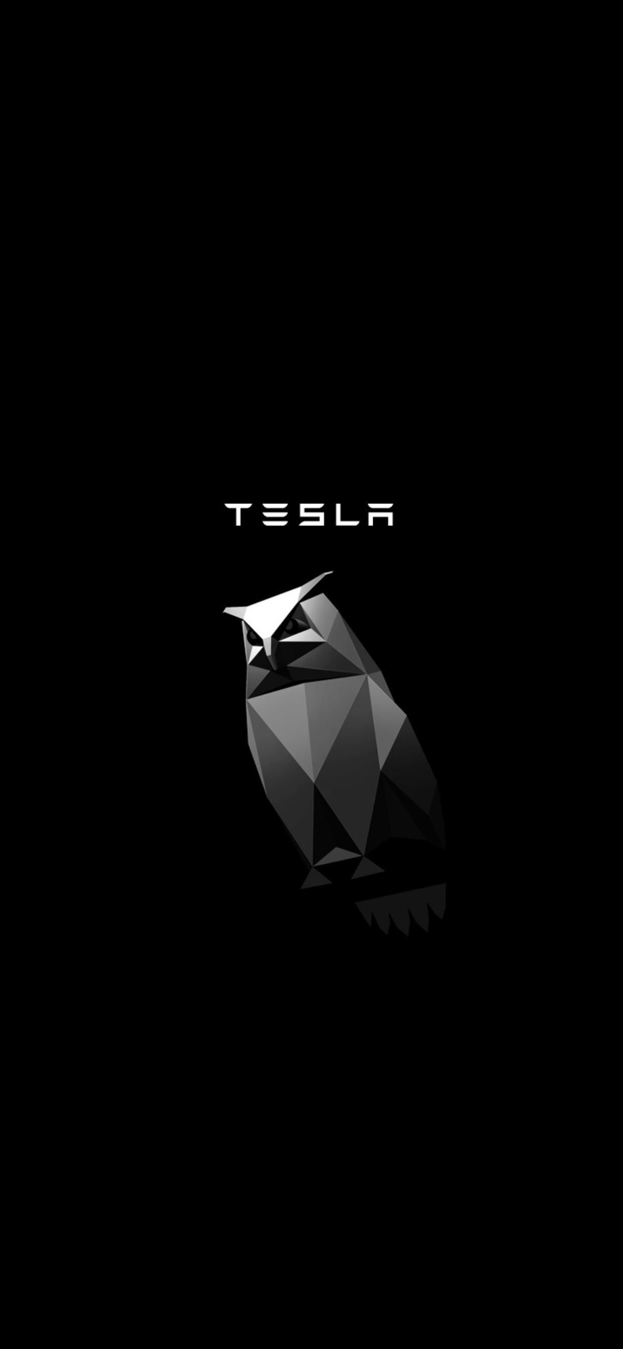 1242x2688  Tesla Cybertruck на Jupiter обои для iPhone