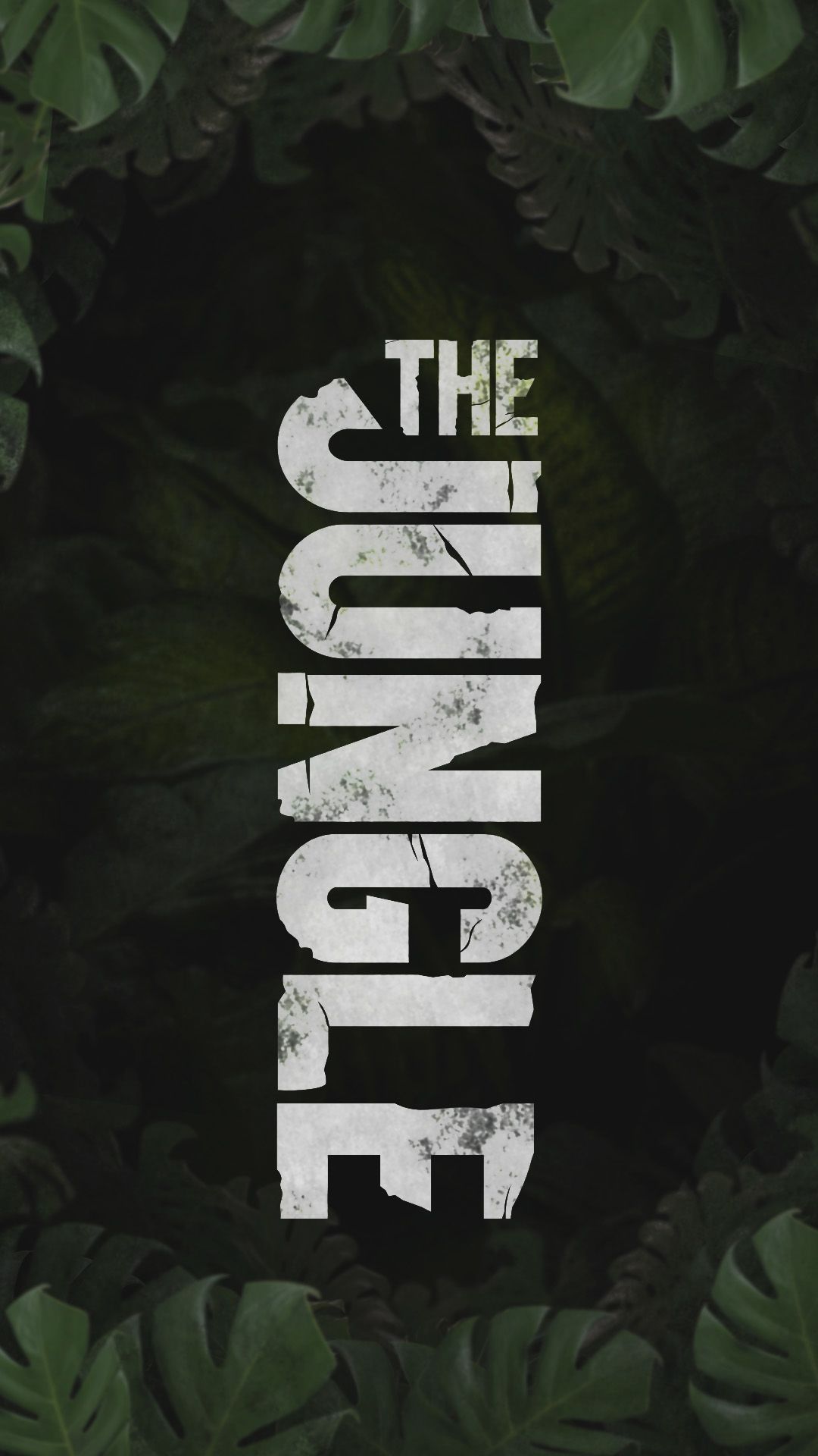 1080x1920  Звуки Музыки Картина - Image Abyss