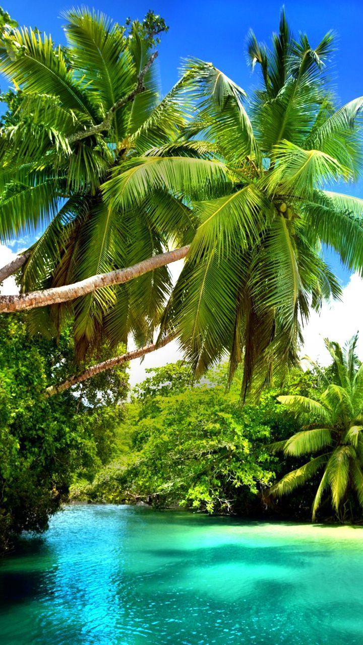 720x1280  Обои Hello Summer для мобильного телефона, планшета, настольного компьютера и других устройств HD и… | Красивые фотографии природы, Летние обои, Красивые места природы