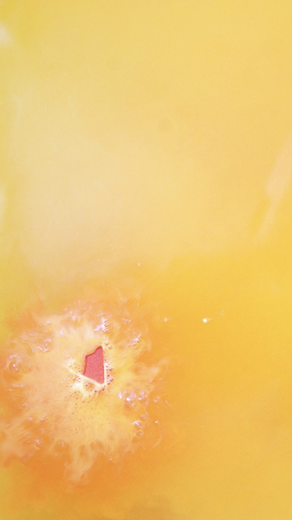 960x1707  Обои Lush для мобильного телефона – Oh My Lush.com