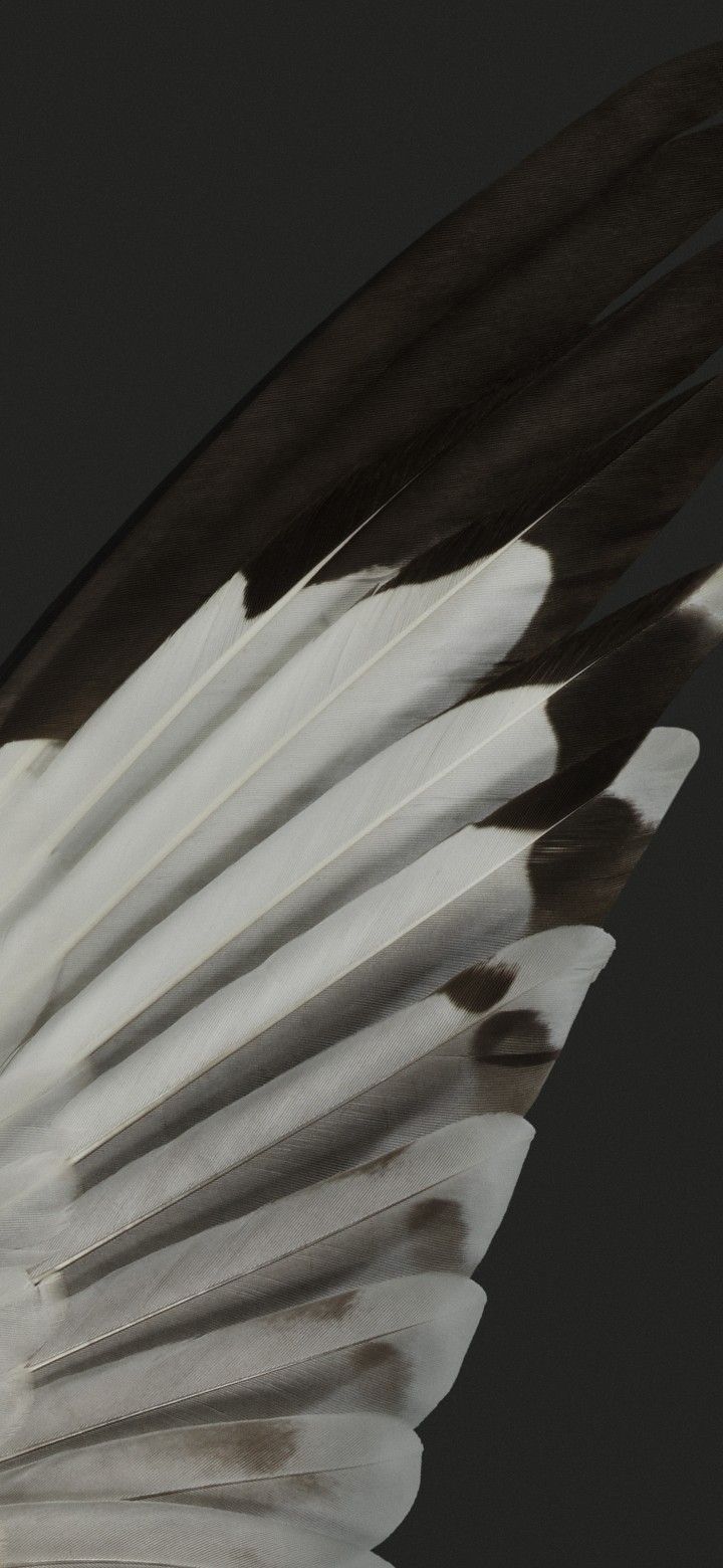 720x1560  Пиксель 7 | Пиксельные обои Google, Пиксель Google, Обои