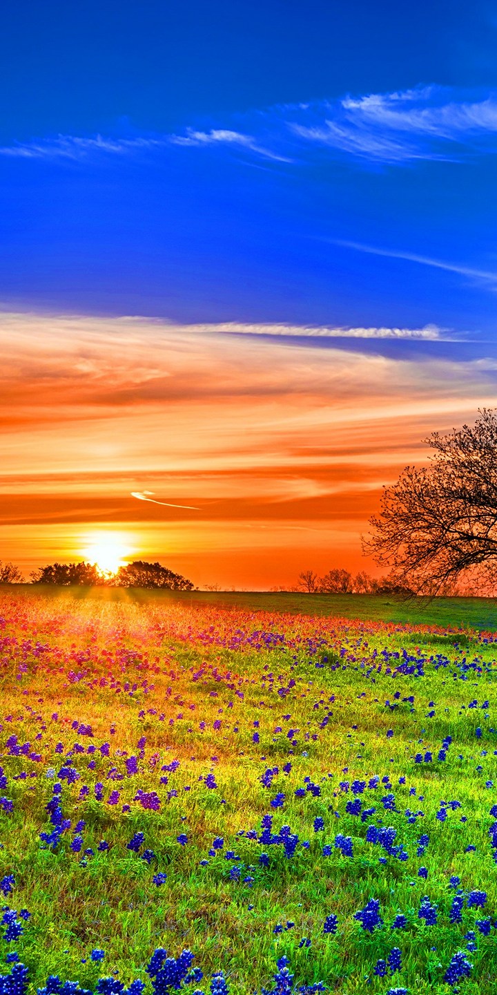 720x1440  Планета Тьерра | Обои для iPhone, Космос, Обои для iphone