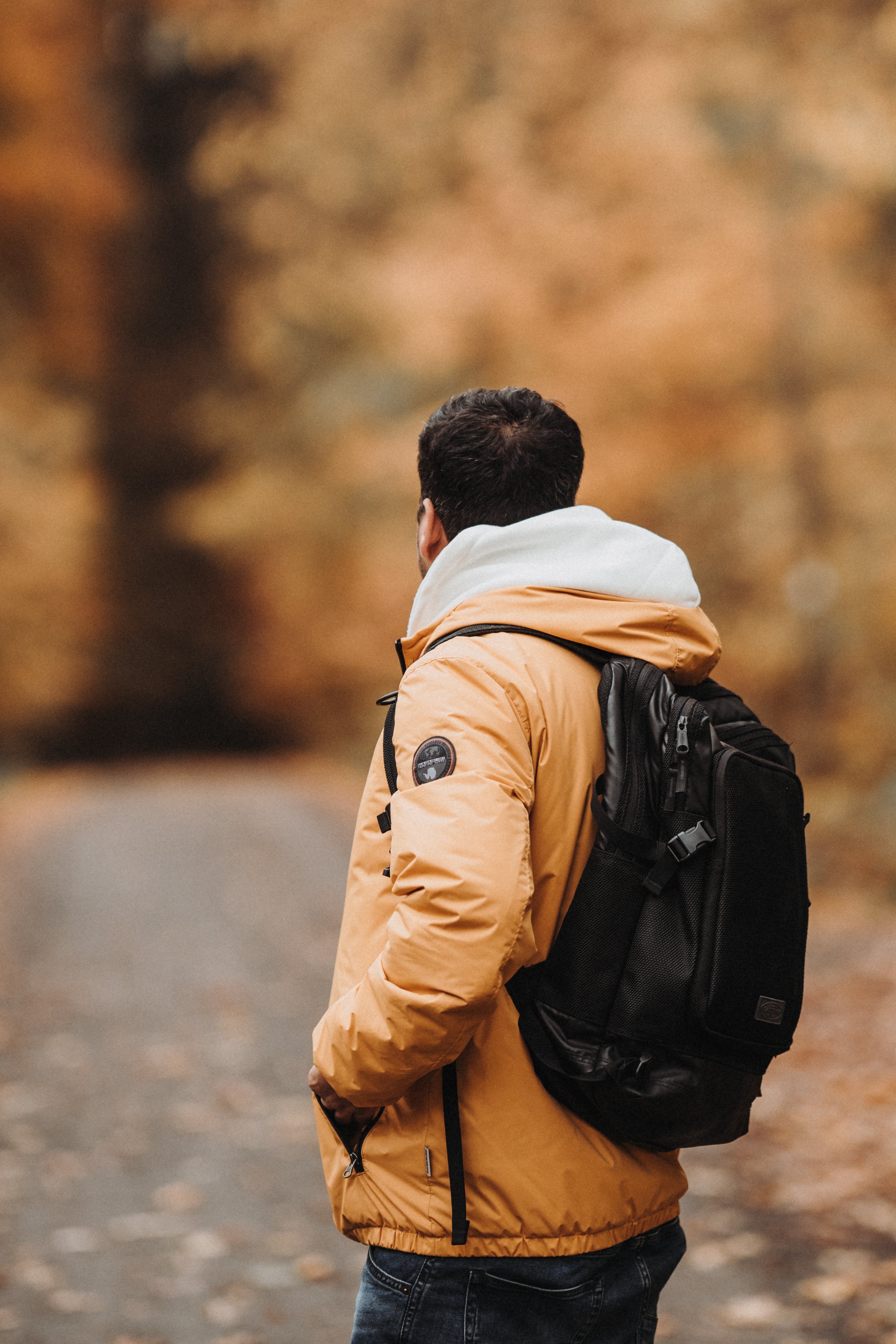 3101x4652  Napapijri, анорак Rainforest, Winterjacke, Damen, искрящийся гельб | SkiWebShop