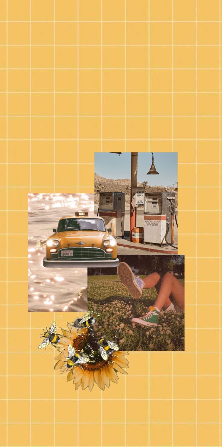 736x1483  Эстетические обои старой школы — Wallpaper Cave