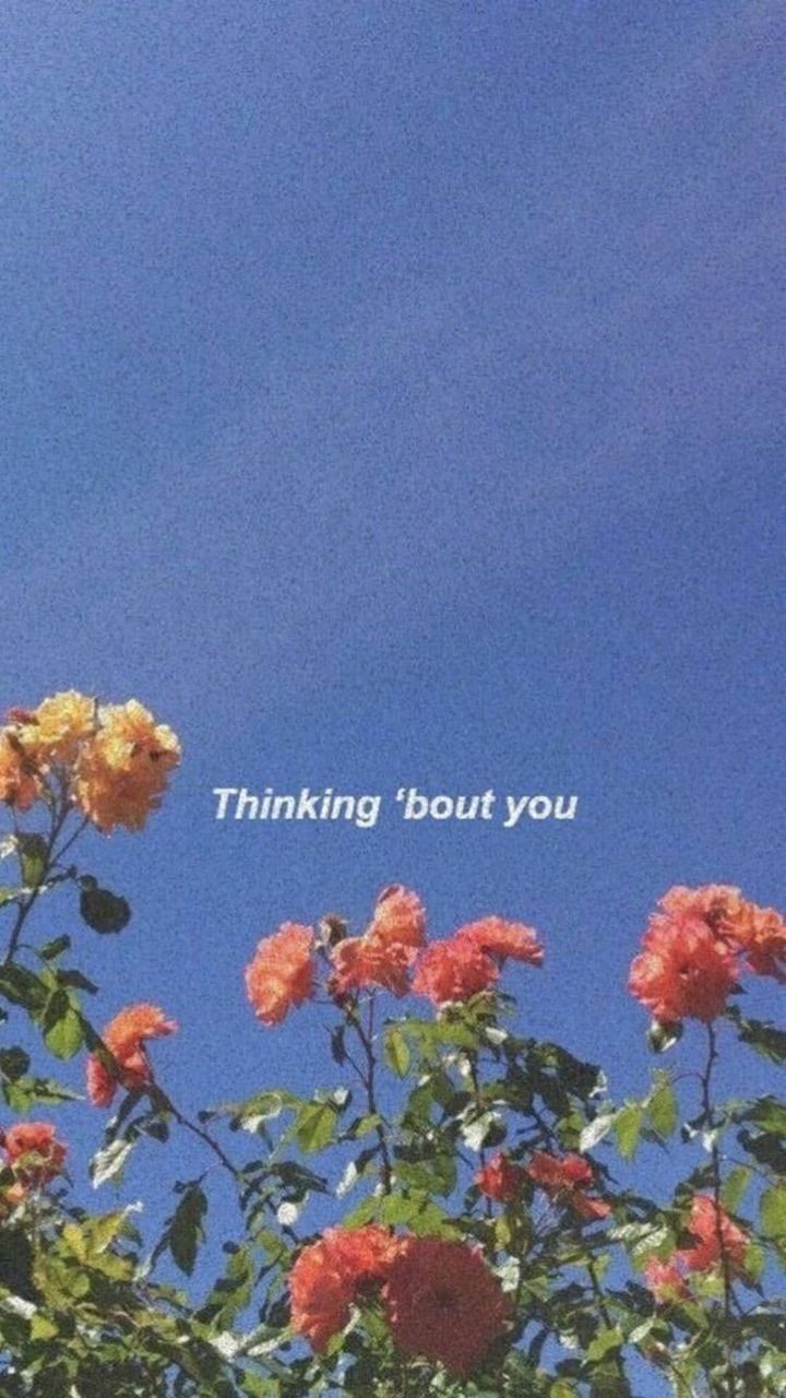 720x1280  ᴡᴀʟʟᴘᴀᴘᴇʀs | Aesthetic pastel wallpaper, Aesthetic iphone wallpaper, Tumblr  wallpaper