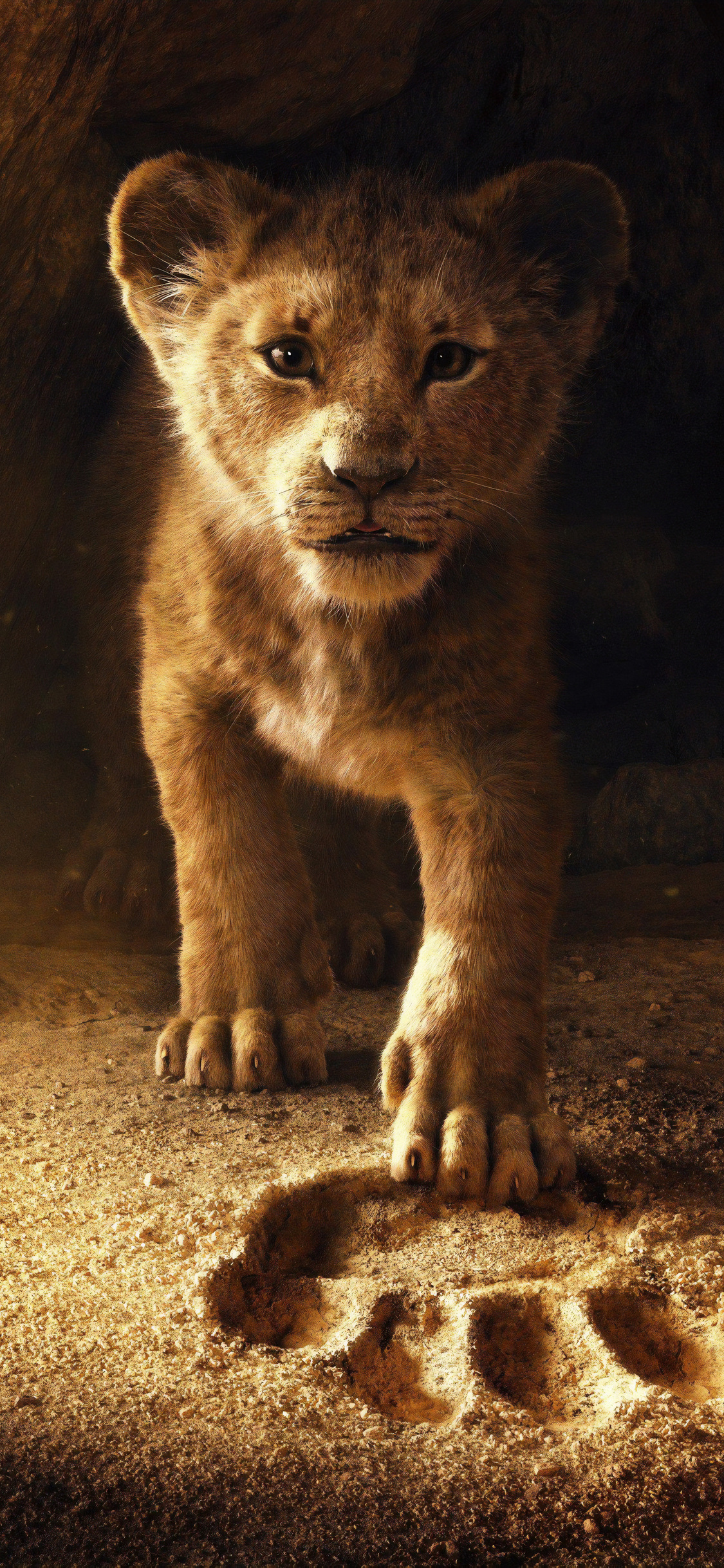 1125x2436   Lion King Hd iPhone Wallpapers - Wallpaper Cave