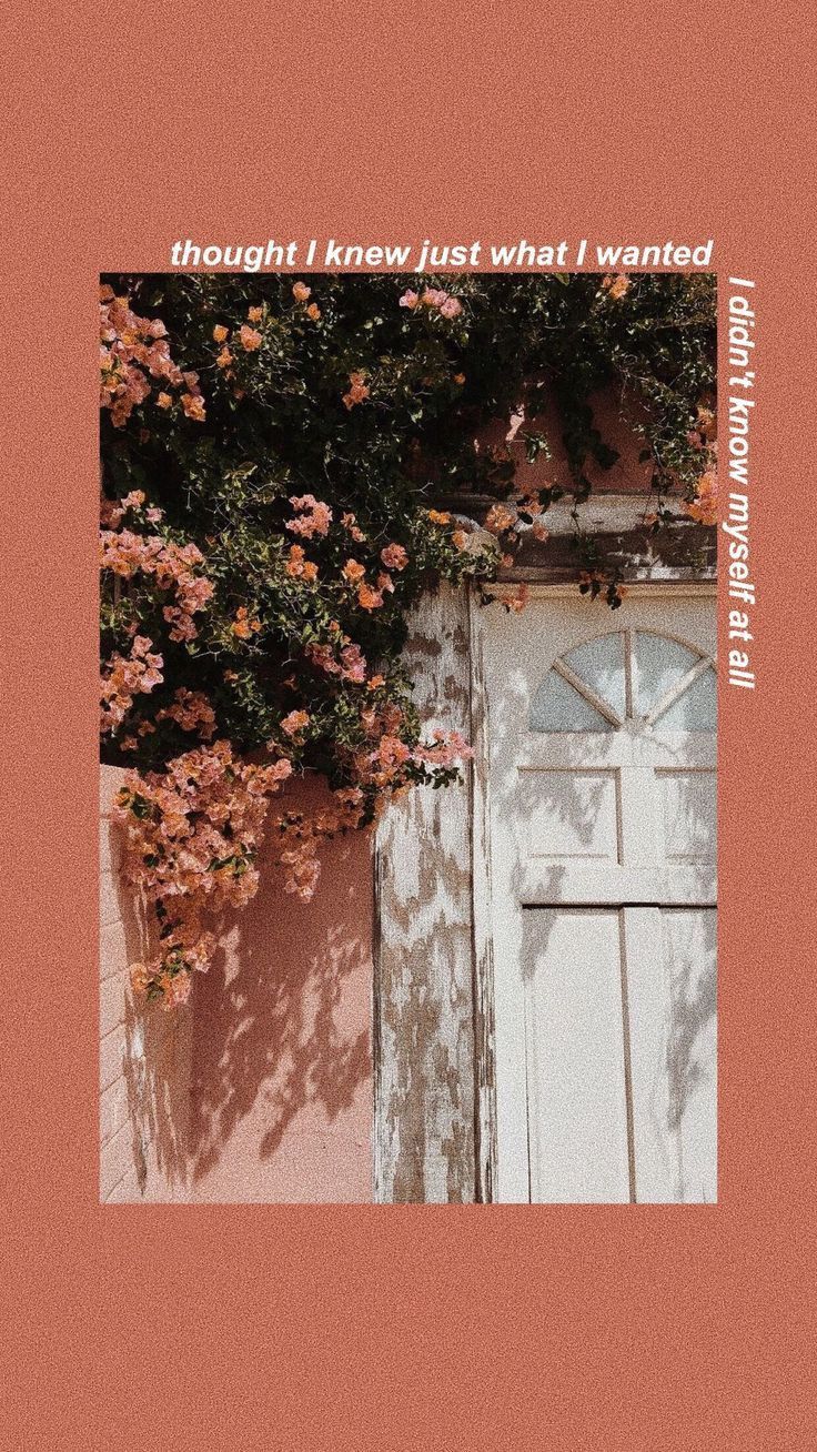 736x1308  freetoedit #красный #оранжевый #обои #обои #фон #фоны #цветок #цветы #природа #тихо #довольно… в 2023 году | Обои Tumblr, Обои для iPhone, Художественные обои