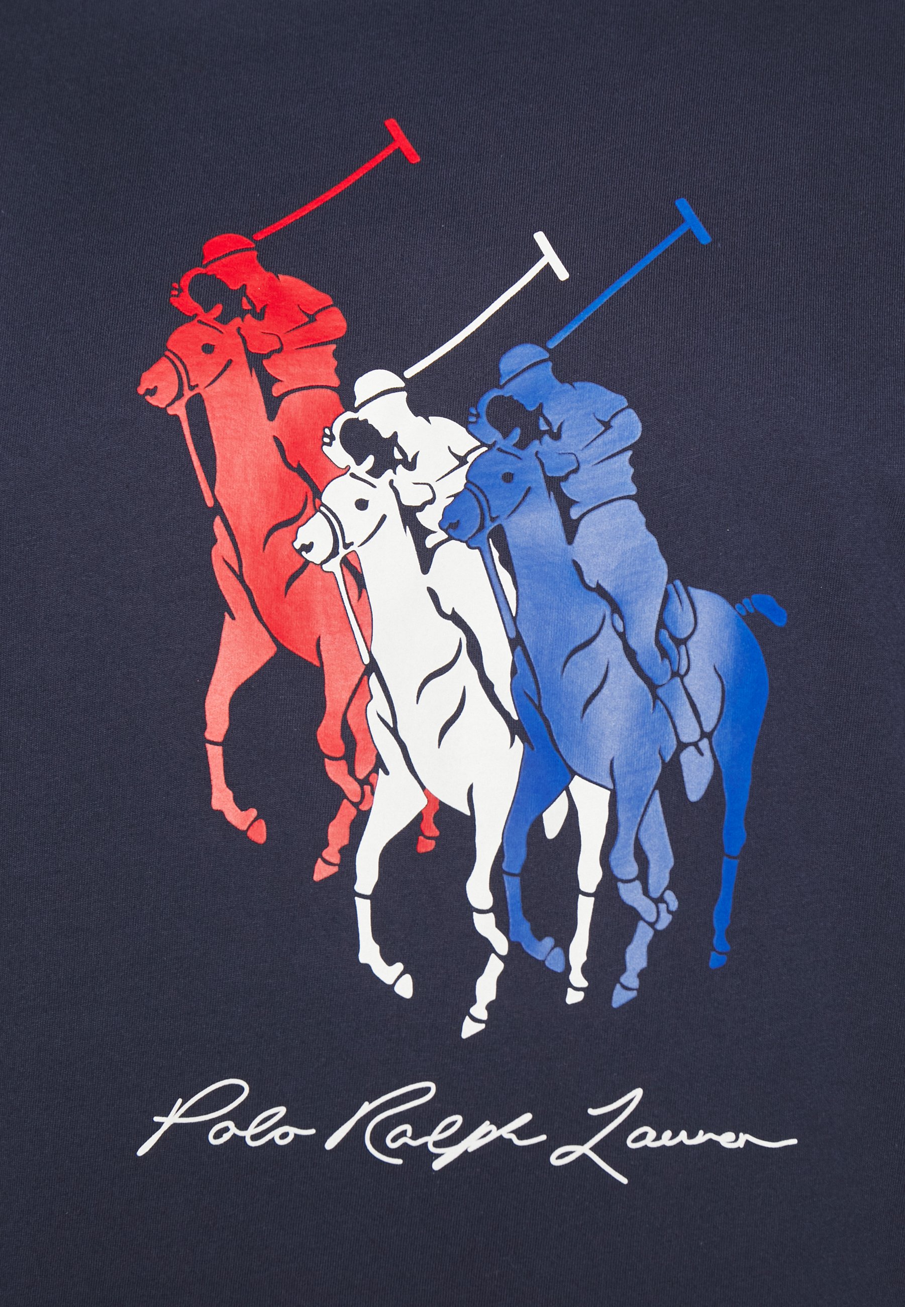 1801x2600  Обои Медведь Поло - iXpap | Обои с плюшевым мишкой, Обои с медведем, Медведь поло