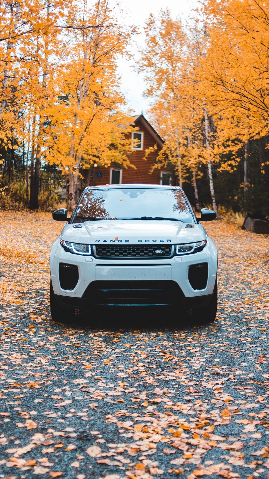 938x1668  обои Range Rover обрезаны｜Поиск в TikTok