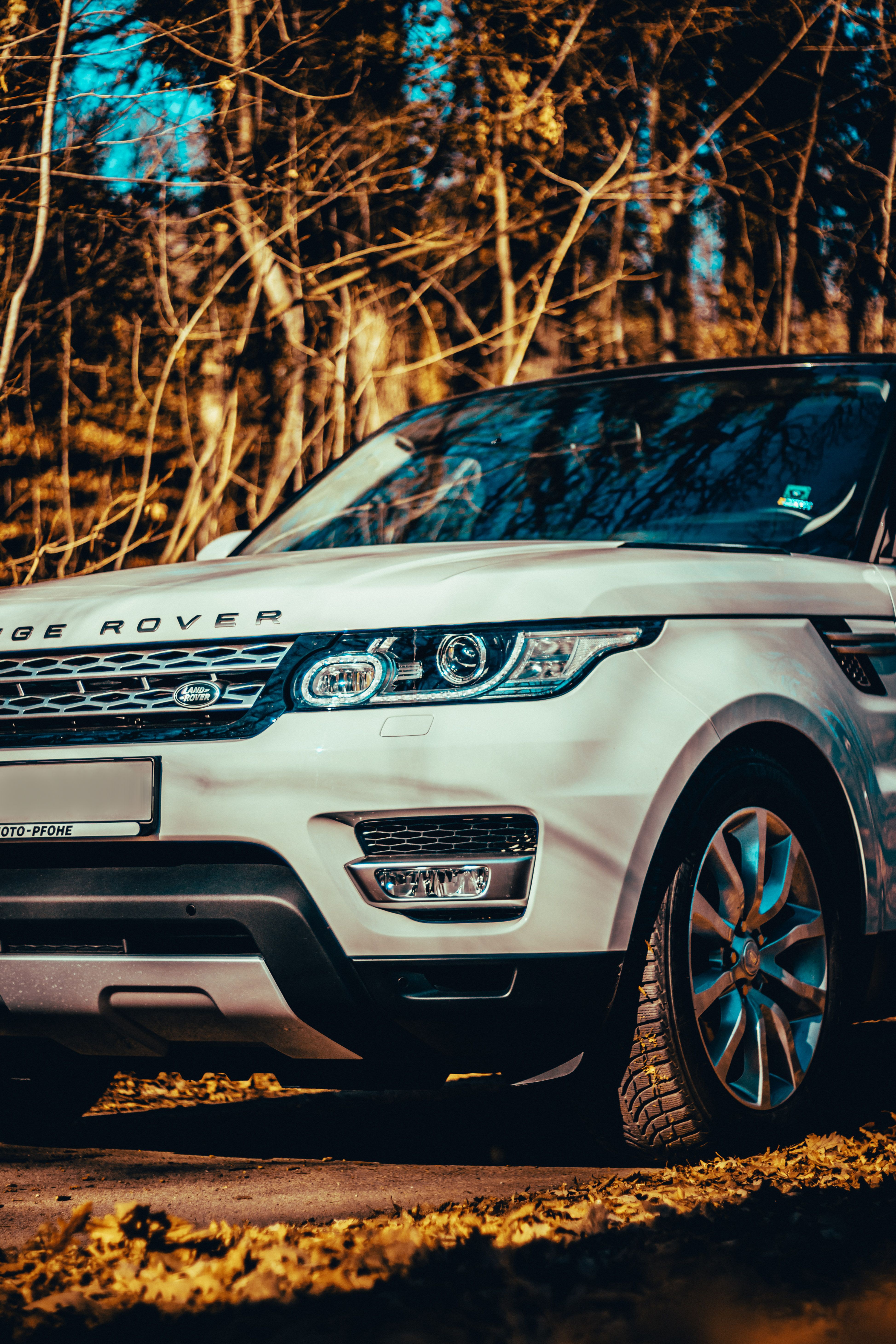 3895x5842  Исключительный. Рендж Ровер Вог СВ. Часть коллекции Q. 📸 @qarspot #RangeRover #rangerovervogue #voguesv #Doha #qatar… | Инстаграм
