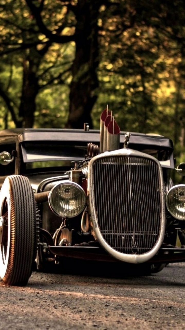 720x1280  Лучшие HD-обои «Крыса» для iPhone — iLikeWallpaper