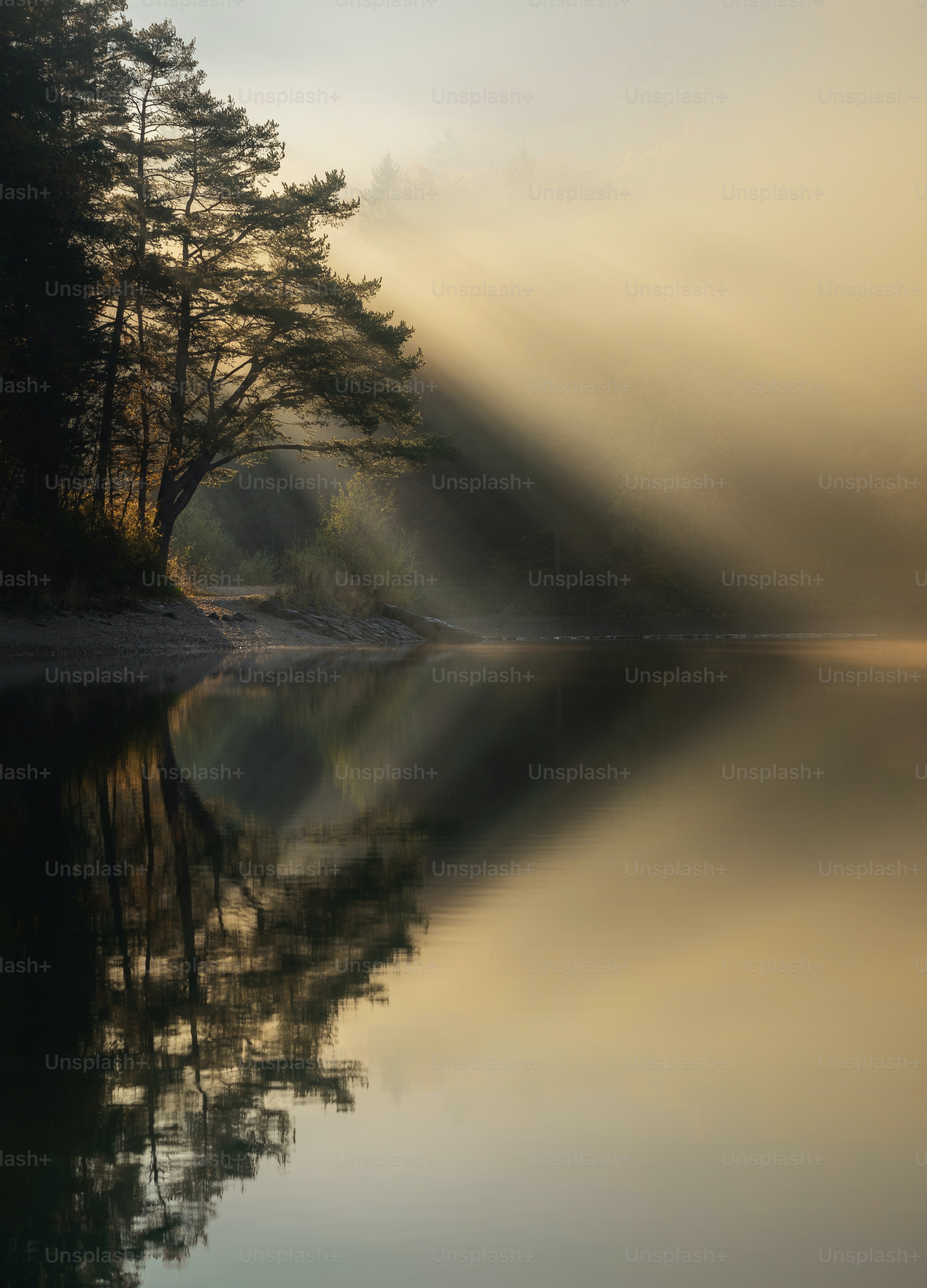 3419x4750  750+ изображений Instagram-роликов | Загрузите бесплатные изображения на Unsplash