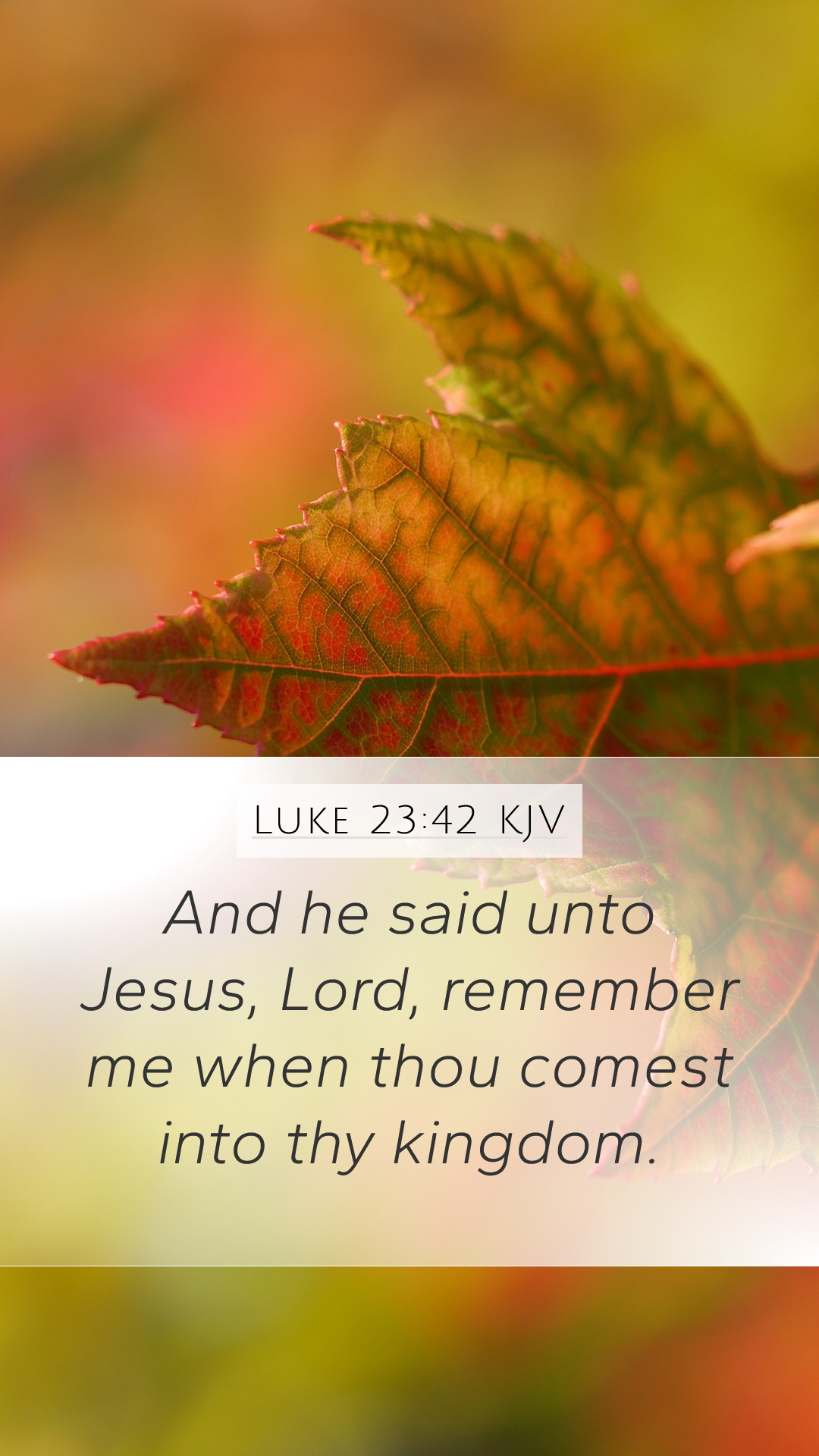 1080x1920  Луки 23:42 KJV Обои для мобильного телефона – И сказал Иисусу: Господи, помяни меня, когда