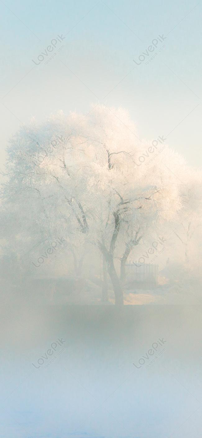 650x1407  Обои Rime 4k Iphone XS,Iphone 10,Iphone X HD 4k 1125x2436, изображения, фоны, фото и картинки