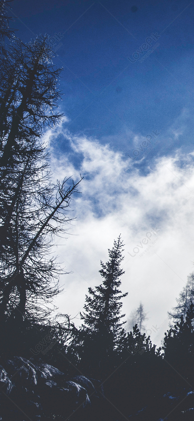 650x1407  Earth Wallpaper 4K, Ночное время, Вид из космоса, Сеть