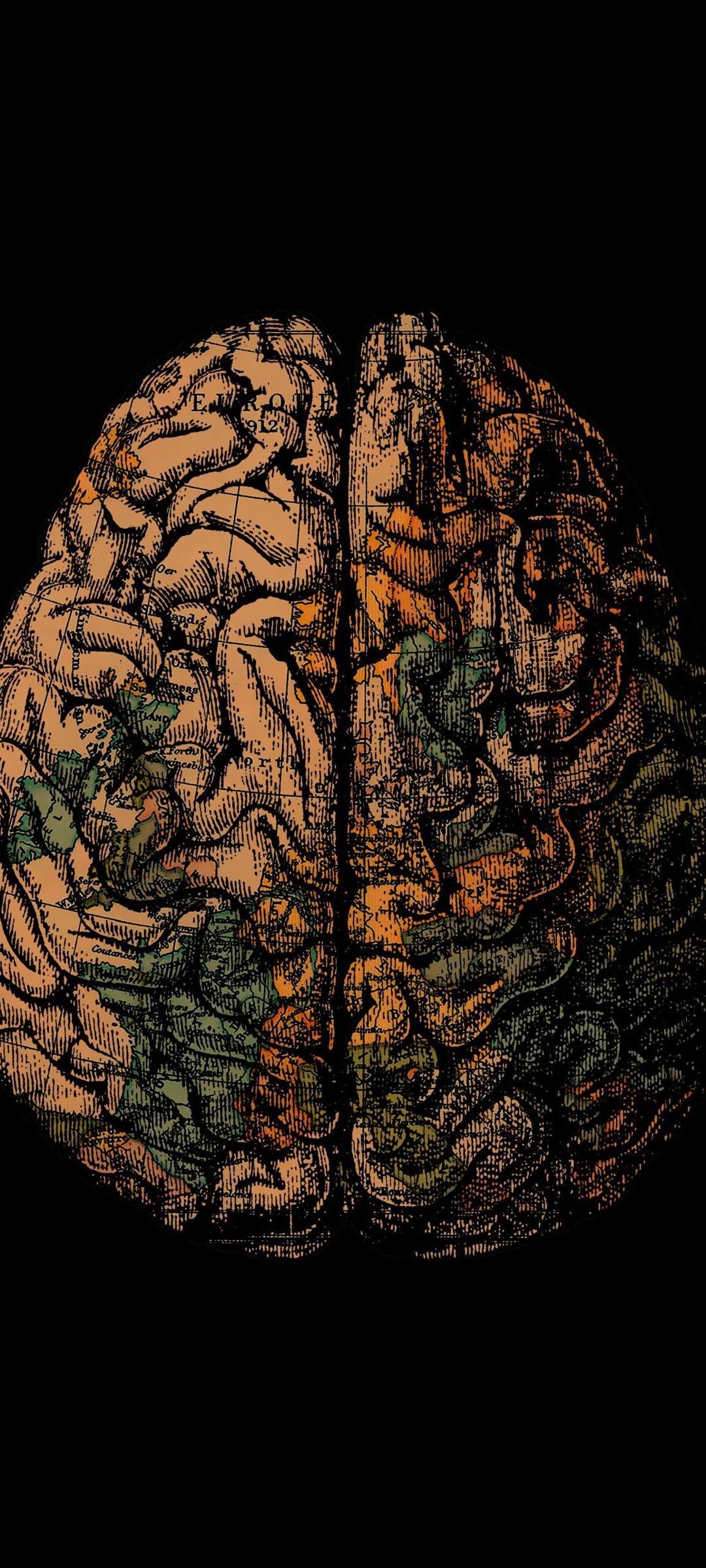 Телефон brain. Мозг Wallpaper. Мозг на черном фоне. Мозг Минимализм.