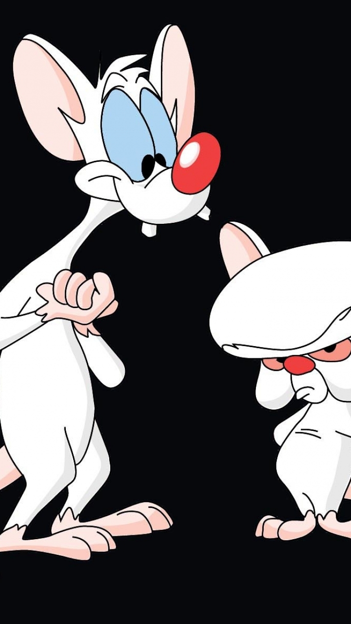 720x1280  Картинка на телефон: Телешоу, Pinky And The Brain, 1340878 Скачать картинку бесплатно.