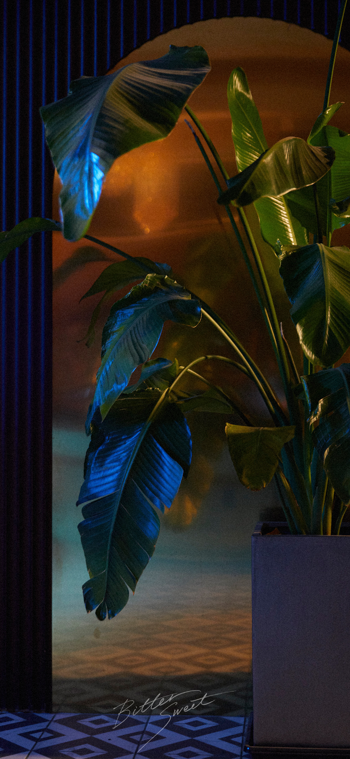 1125x2436  Wonwoo x Mingyu - Bittersweet (feat. Lee Hi) MV #17_background images: r/seventeen