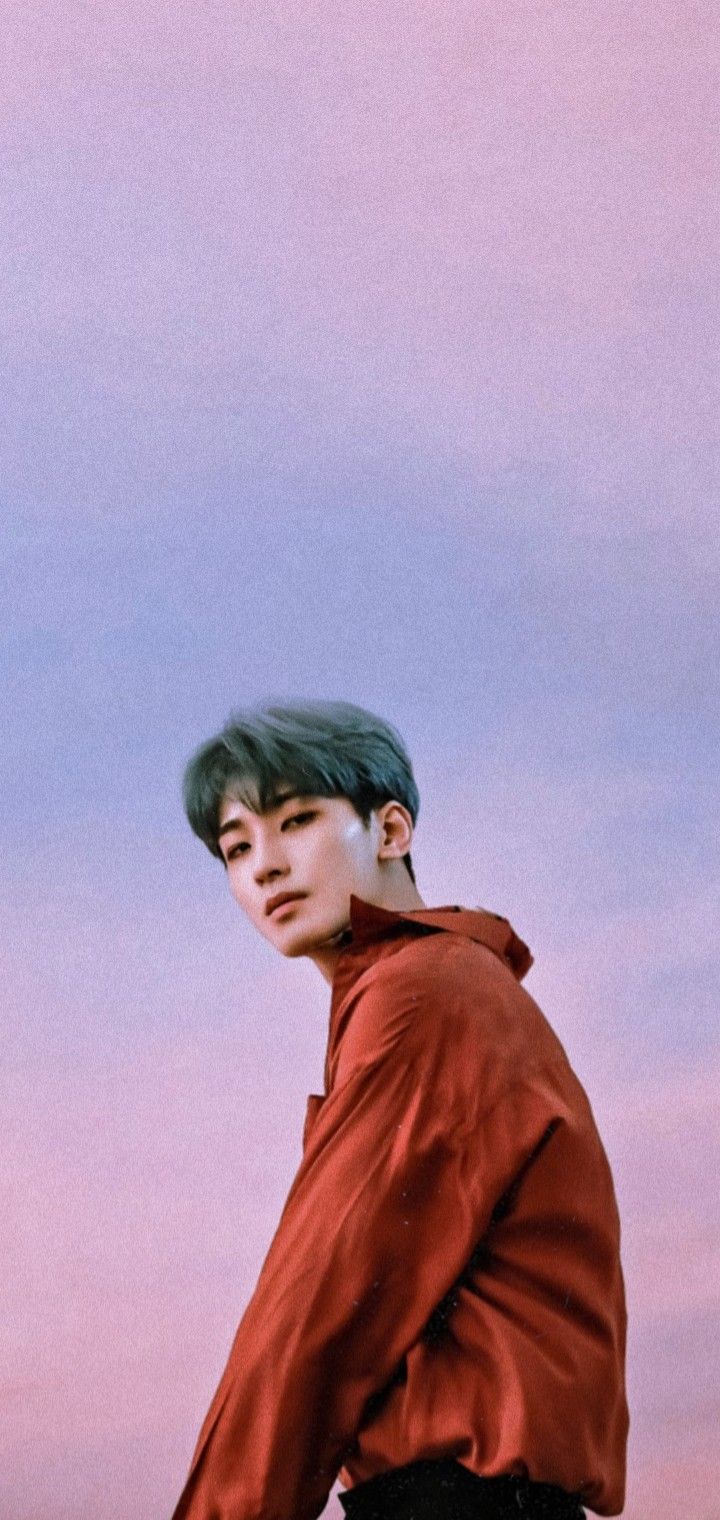 720x1520  СЕМНАДЦАТЬ ОБОИ KPOP ВОНУ