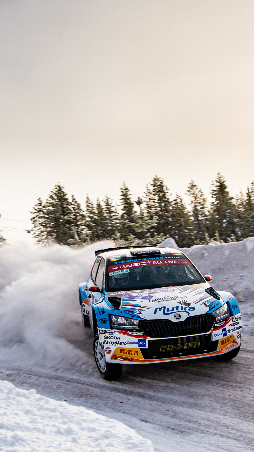 1080x1920  Скачать обои Arctic Rally Finland на телефон - Škoda Motorsport