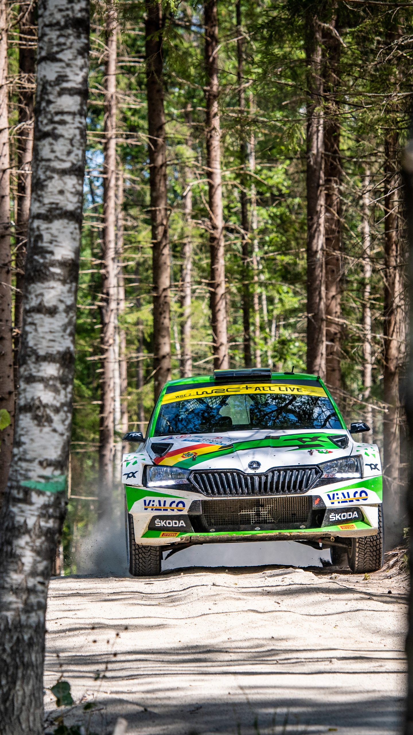 1440x2560  Скачать обои Ралли Эстонии на телефон - Škoda Motorsport