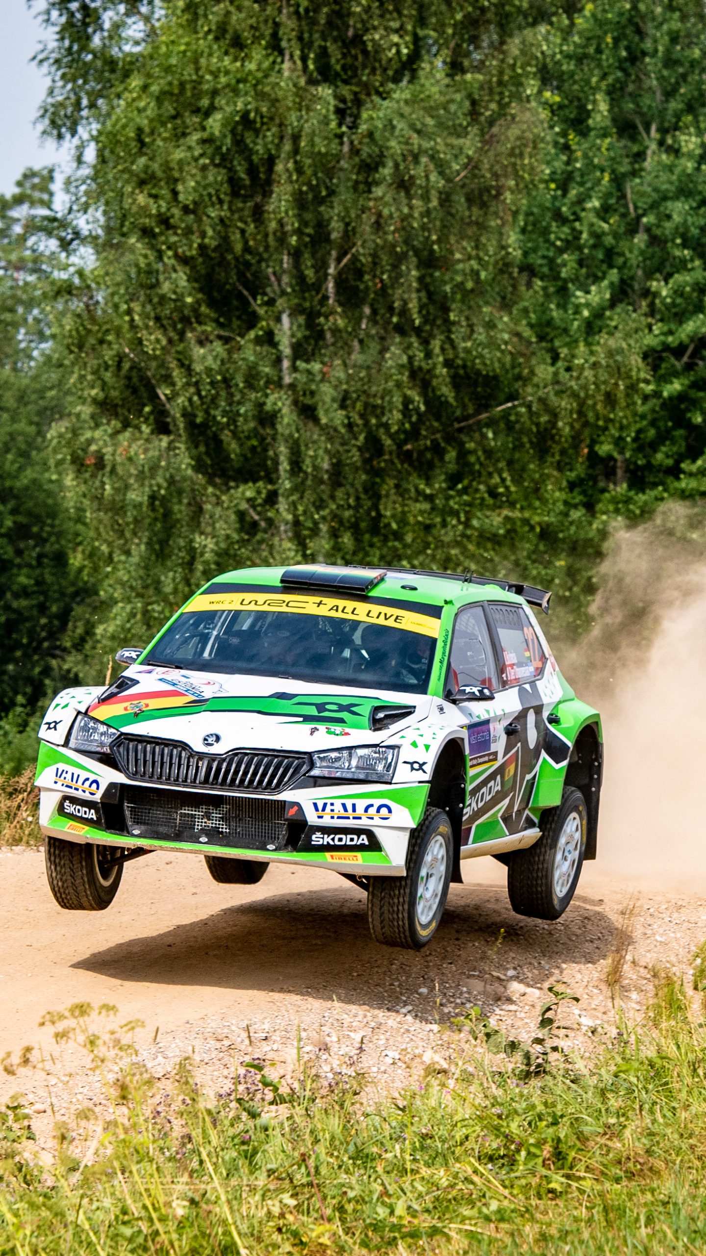 1440x2560  Скачать обои Ралли Эстонии на телефон - Škoda Motorsport