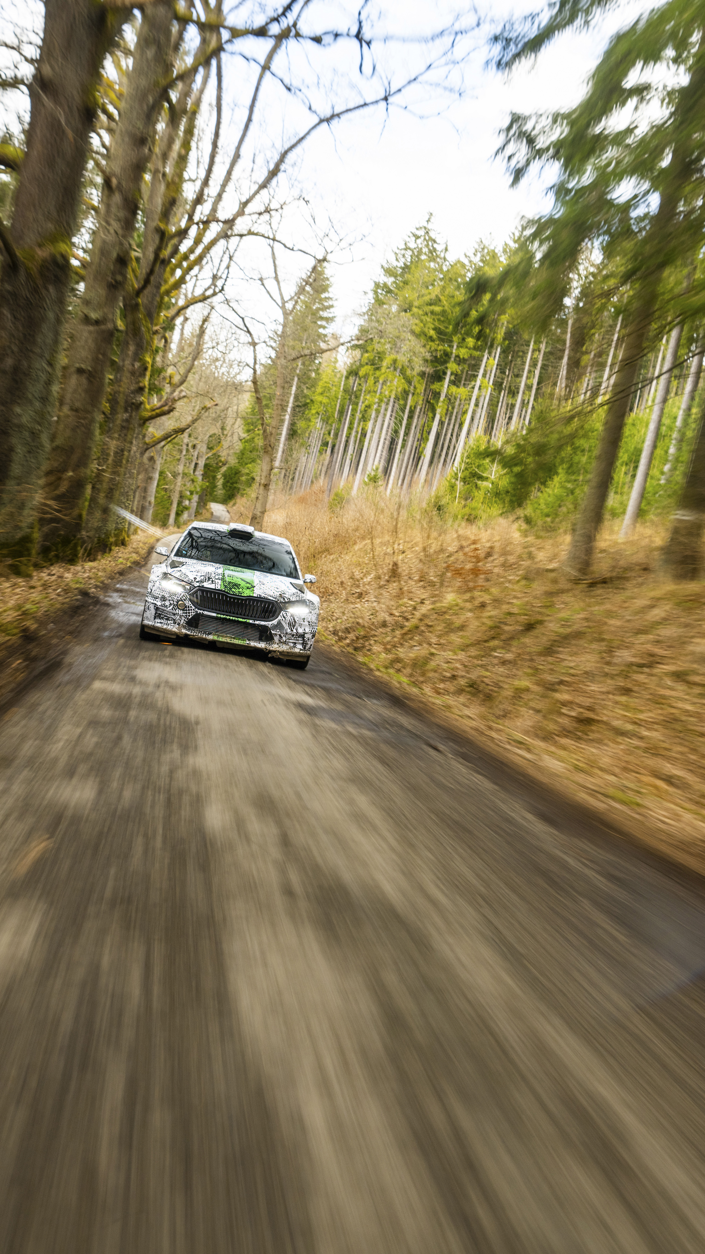 2813x5000  Спортивная программа для клиентов: круглосуточное обслуживание раллийных автомобилей - Škoda Storyboard