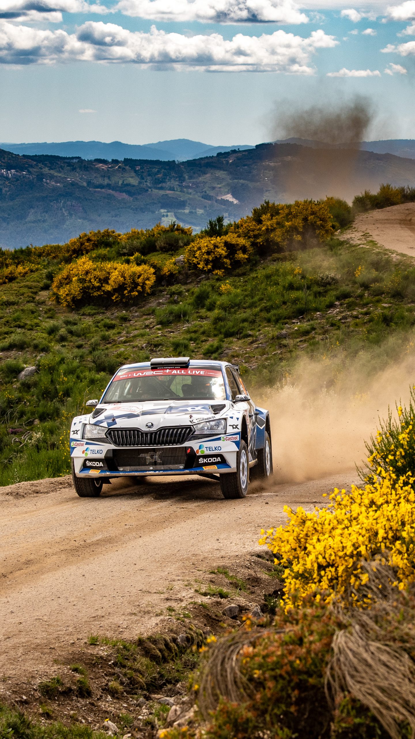 1440x2560  Скачать обои Ралли Португалии на телефон - Škoda Motorsport