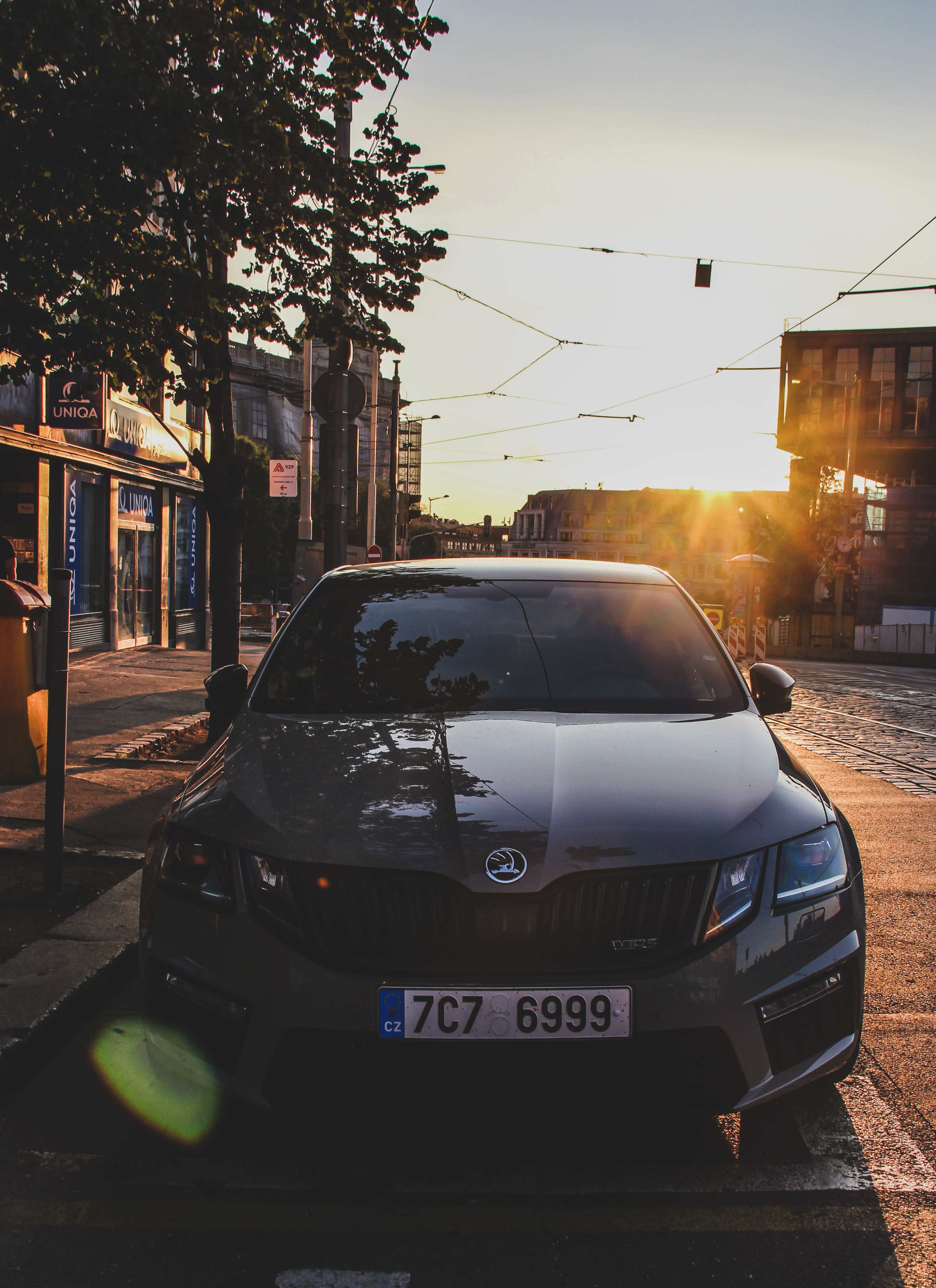 3254x4480  Пин на доске маслкары