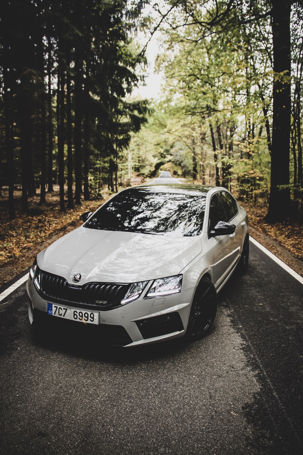 1000x1500  Обои для рабочего стола Skoda