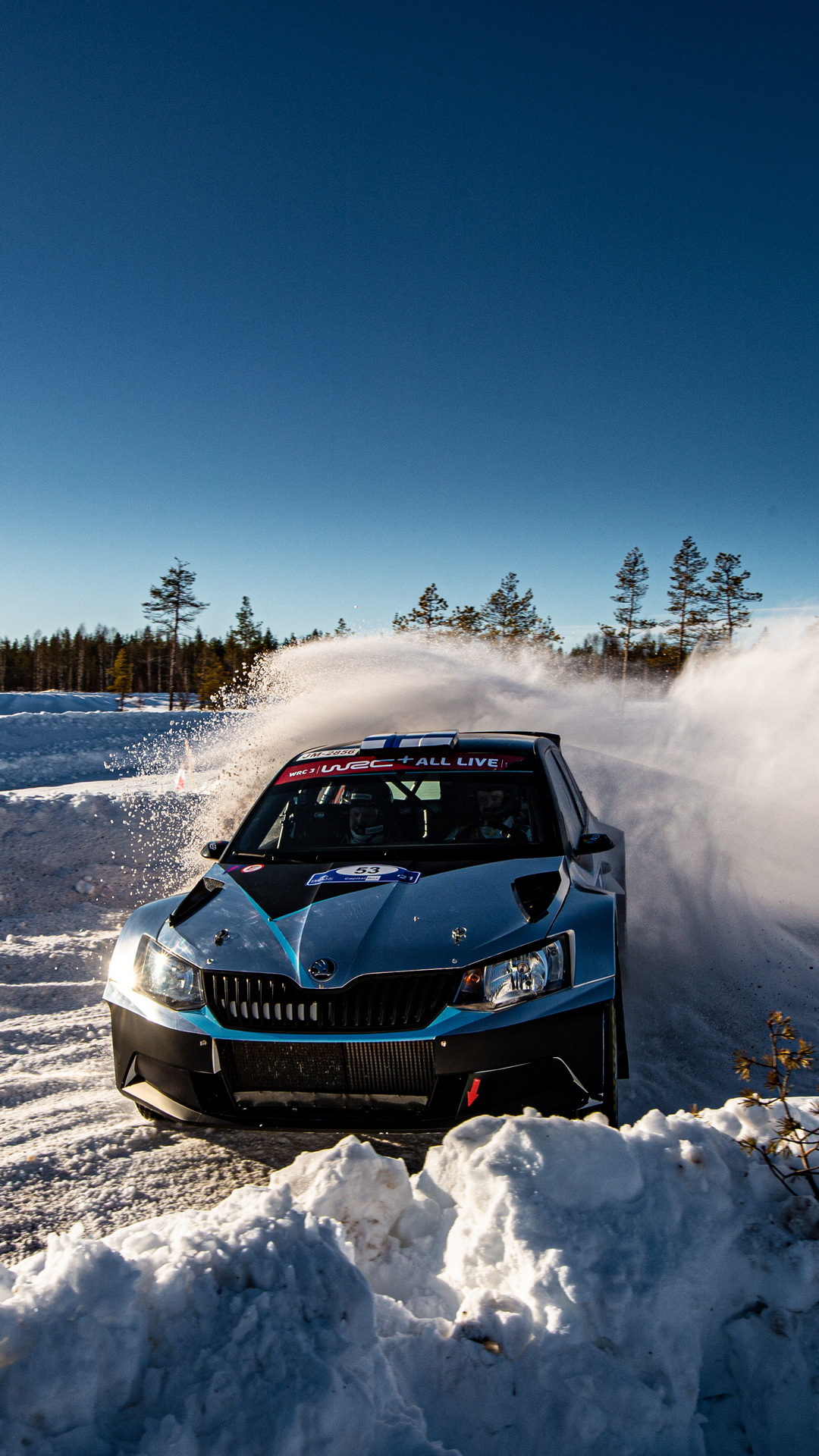 1080x1920  Скачать обои Arctic Rally Finland на телефон - Škoda Motorsport