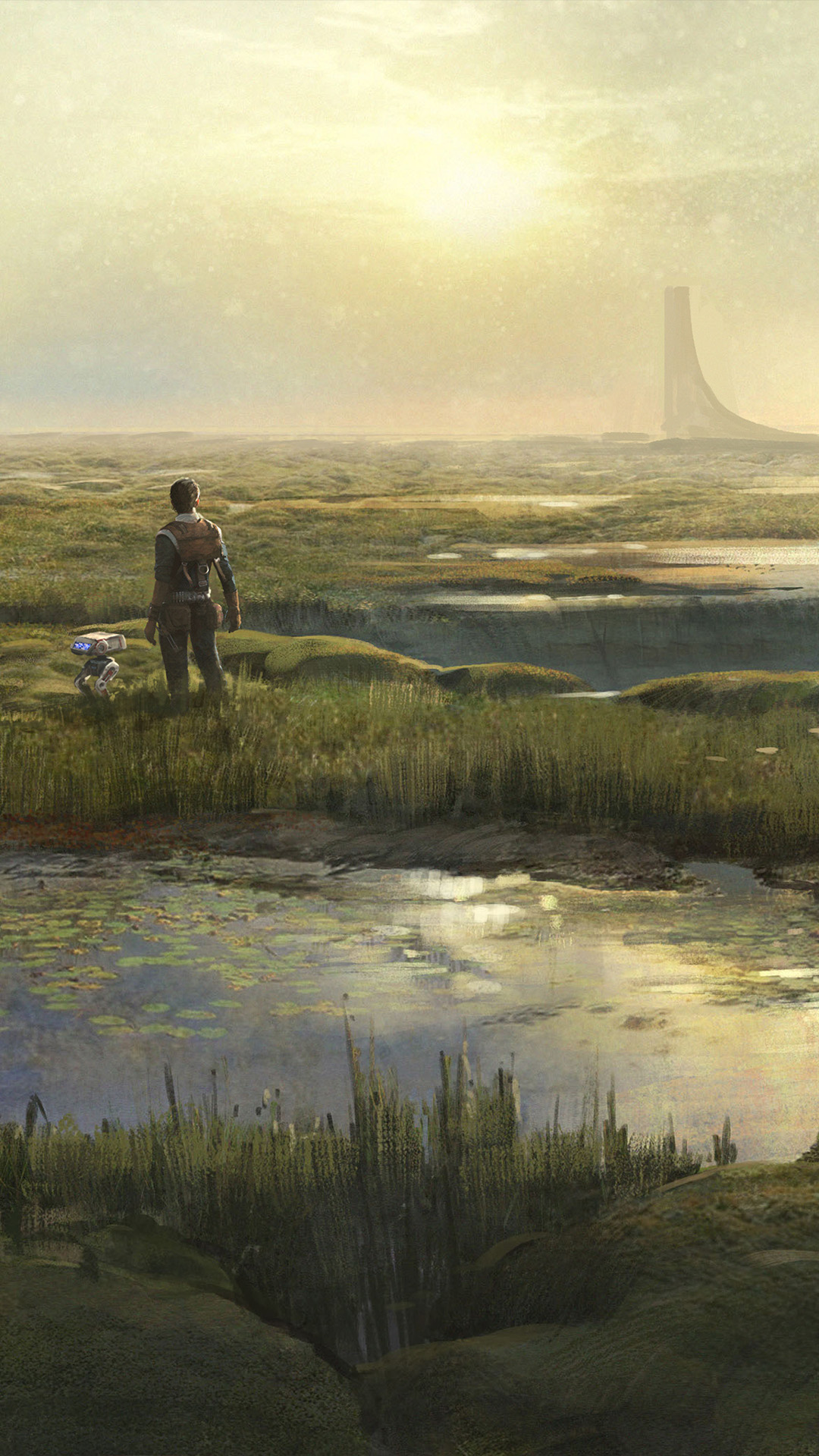 1080x1920  Обои для телефона «Звездные войны: Джедай: Падший орден»