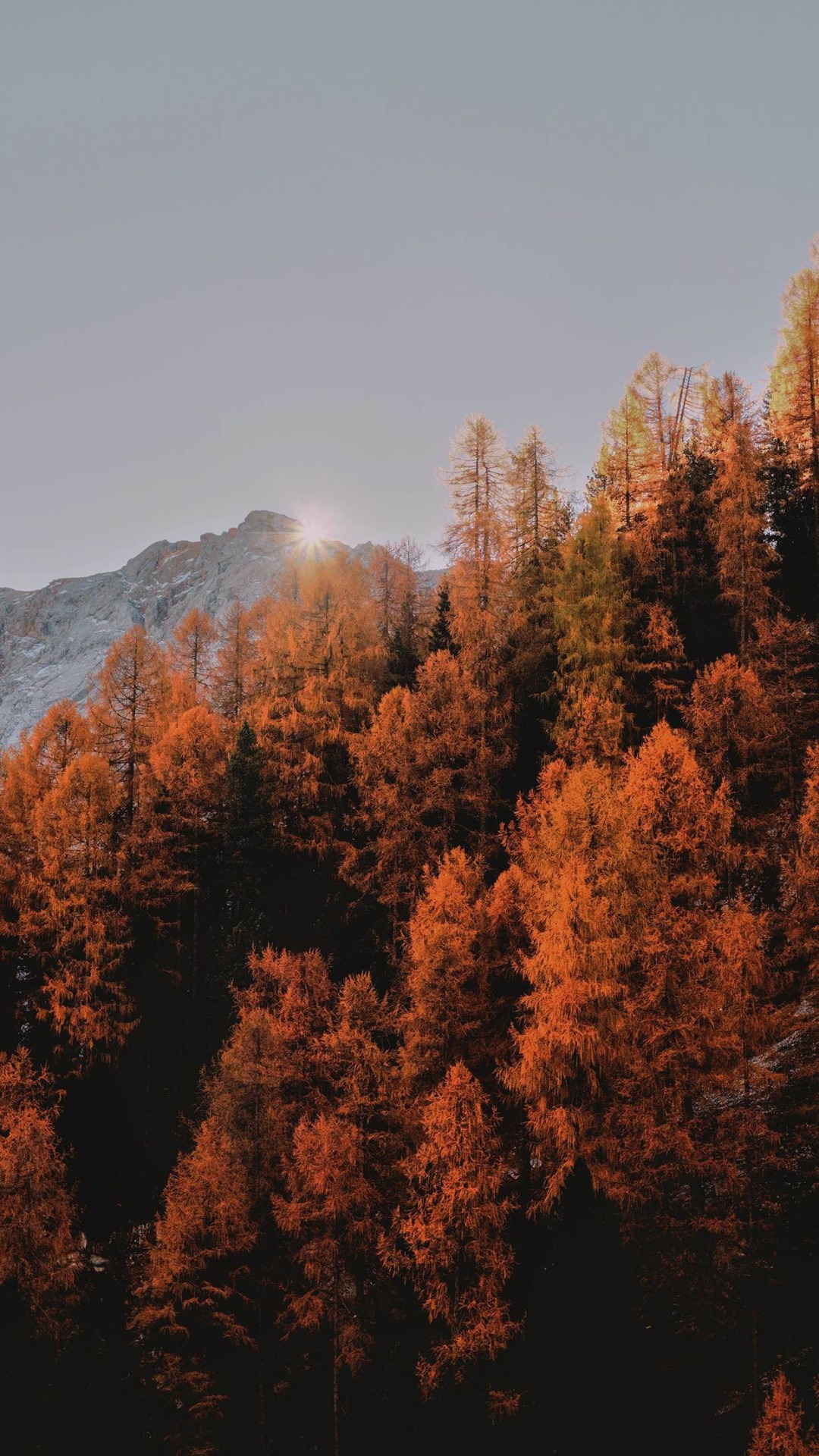 1080x1920   «10 идей, как сделать ваш дом уютным и теплым осенью | Осенняя фотография 