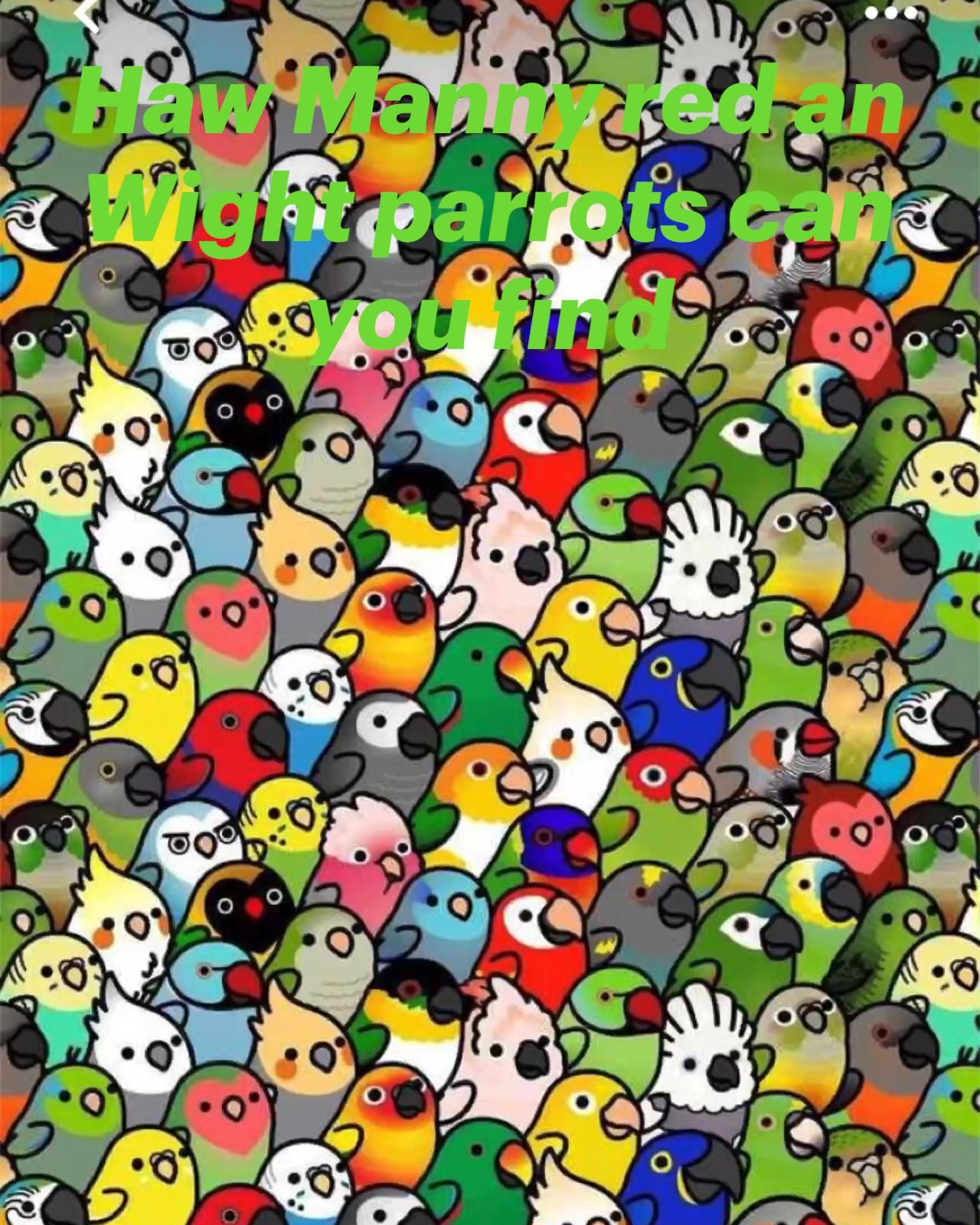 1280x1600  Haw Manny red an Wight parrots can you find in 2023 | Parrots art, Parrot  wallpaper, Cute animal drawings